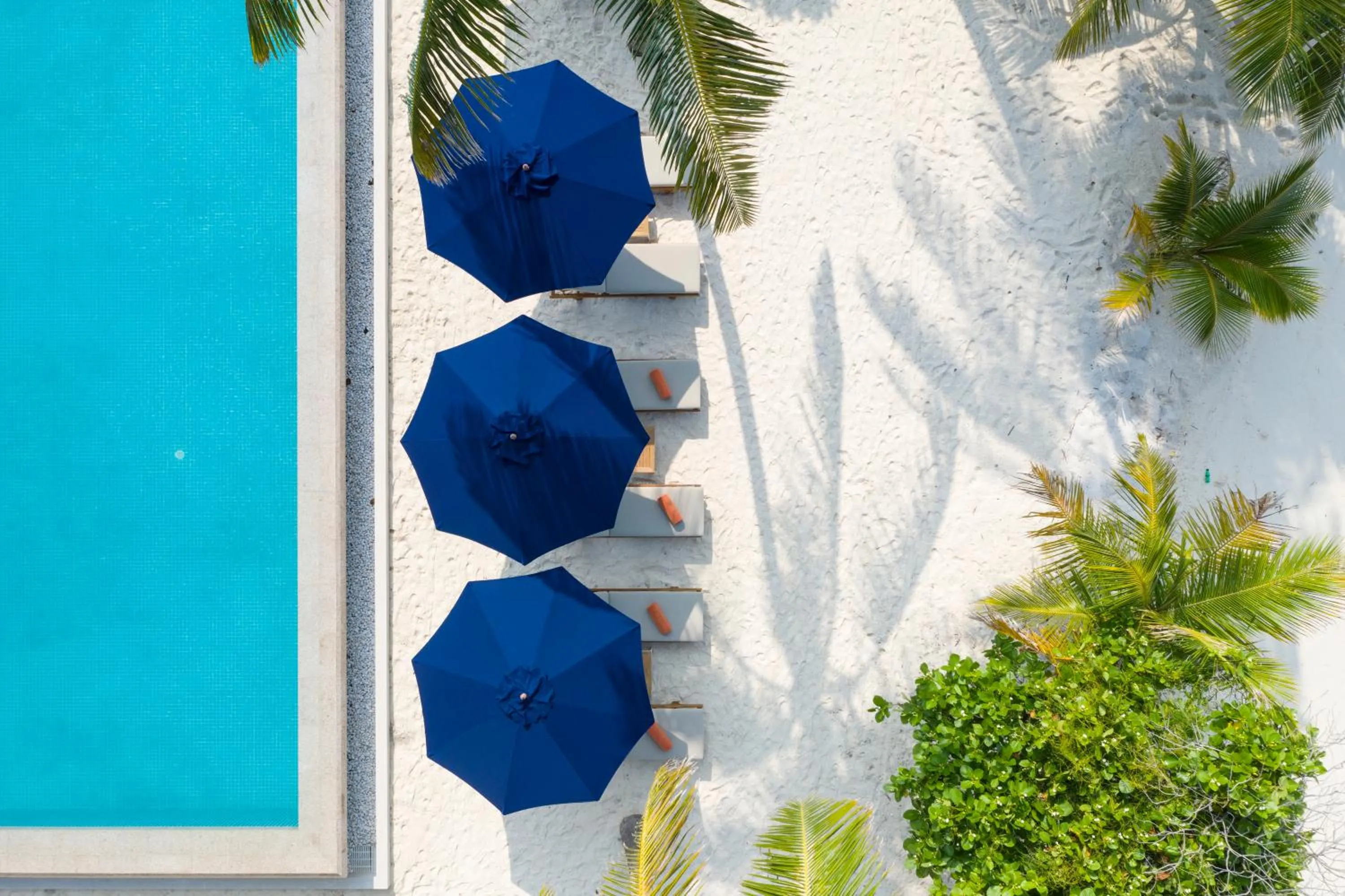 Lounge or bar in Emerald Faarufushi Resort & Spa - Deluxe All Inclusive