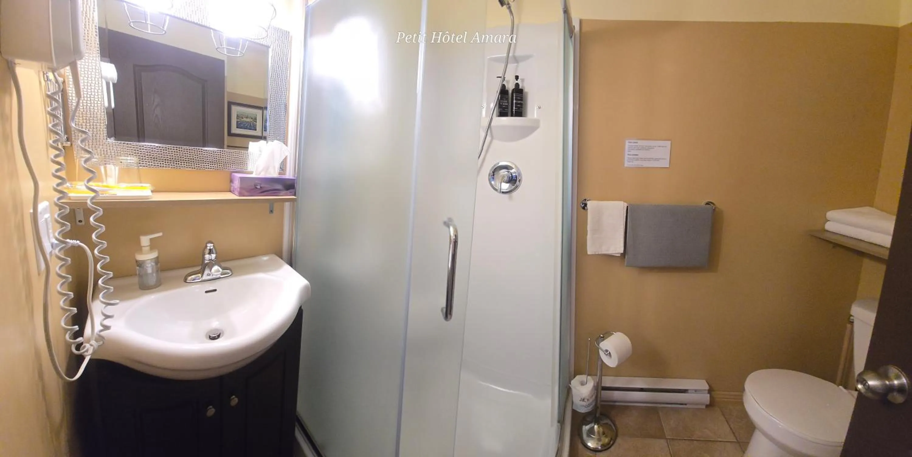 Shower in Petit Hôtel Amara