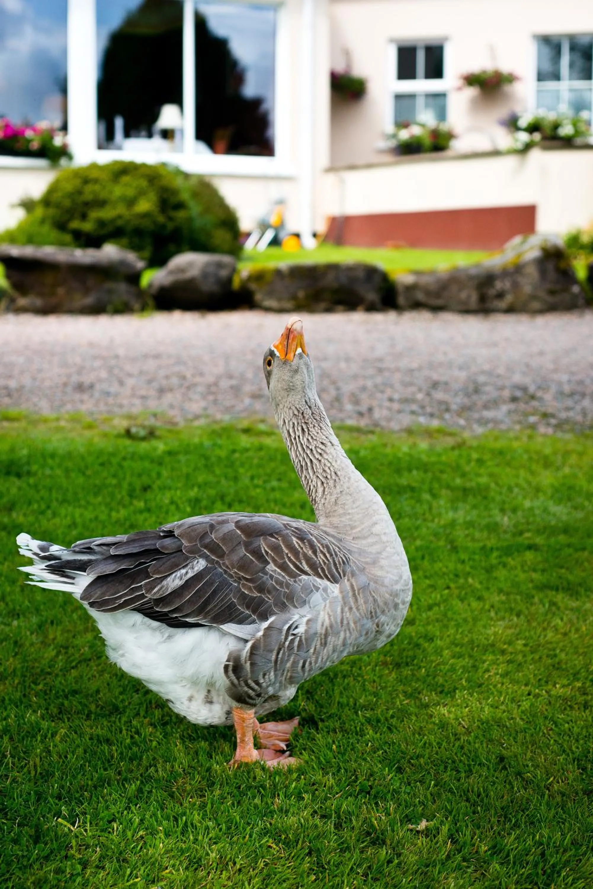 Other in Harvey's Point