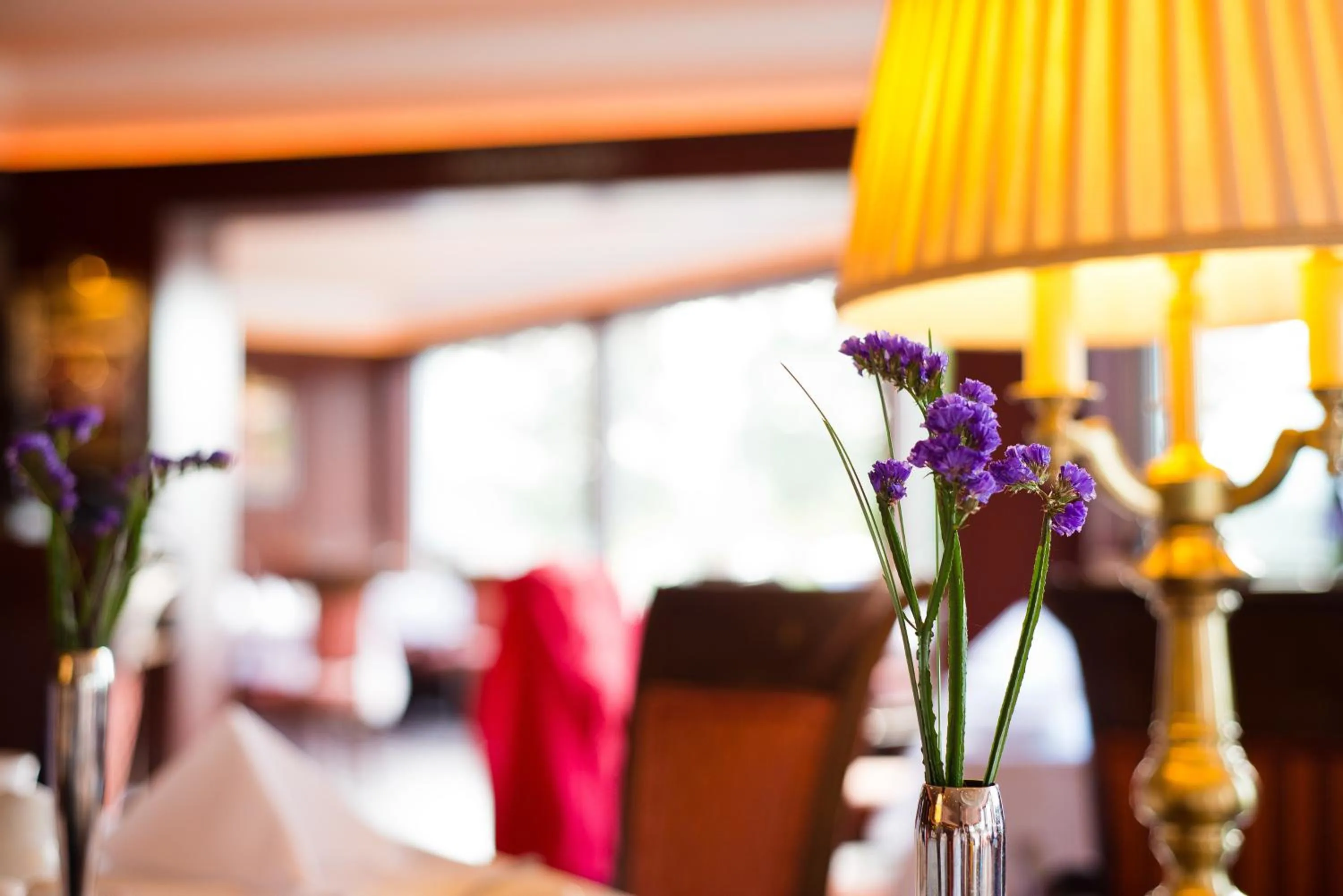 Other in Harvey's Point