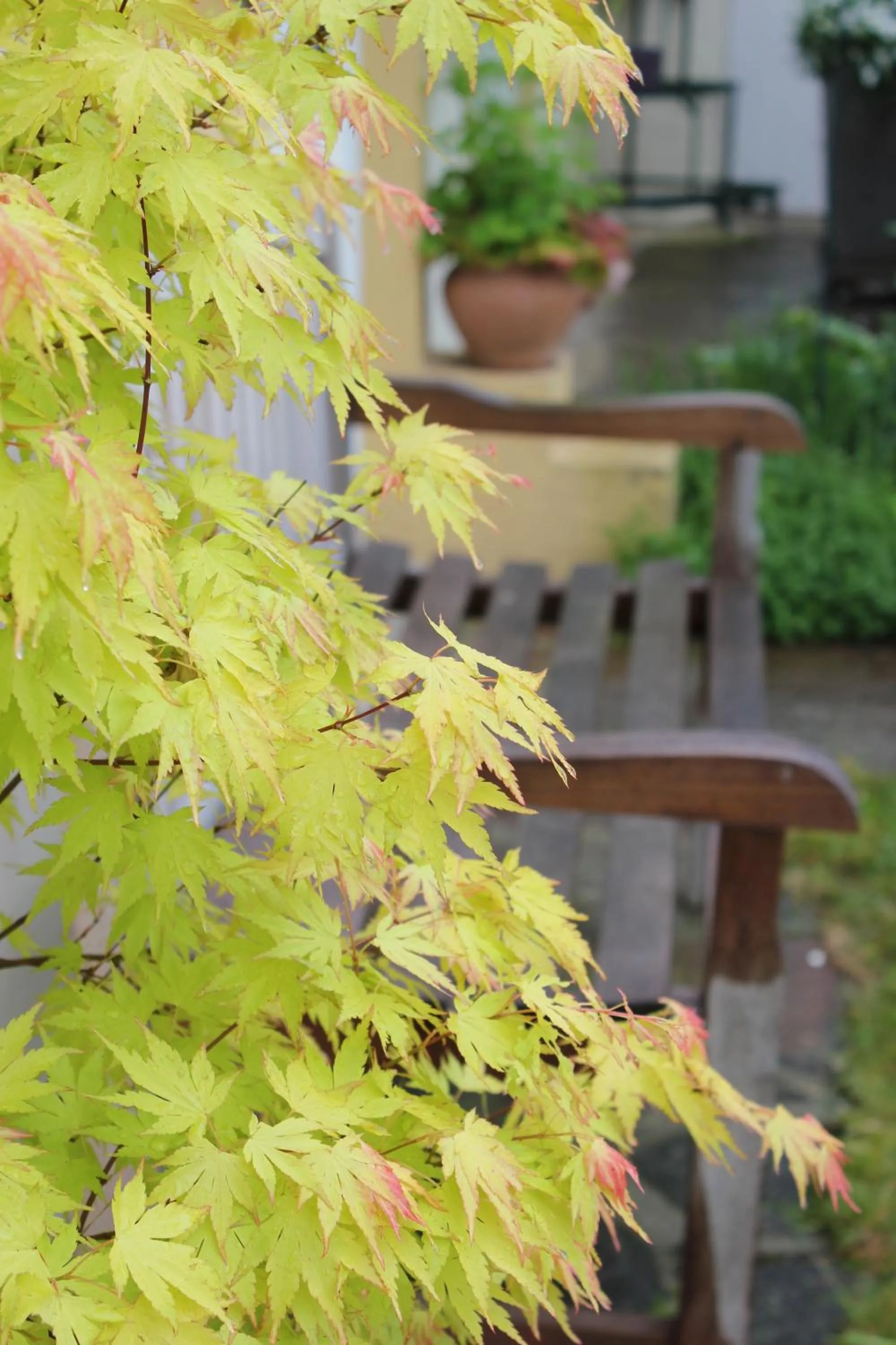 Garden in Le Chemin du Village