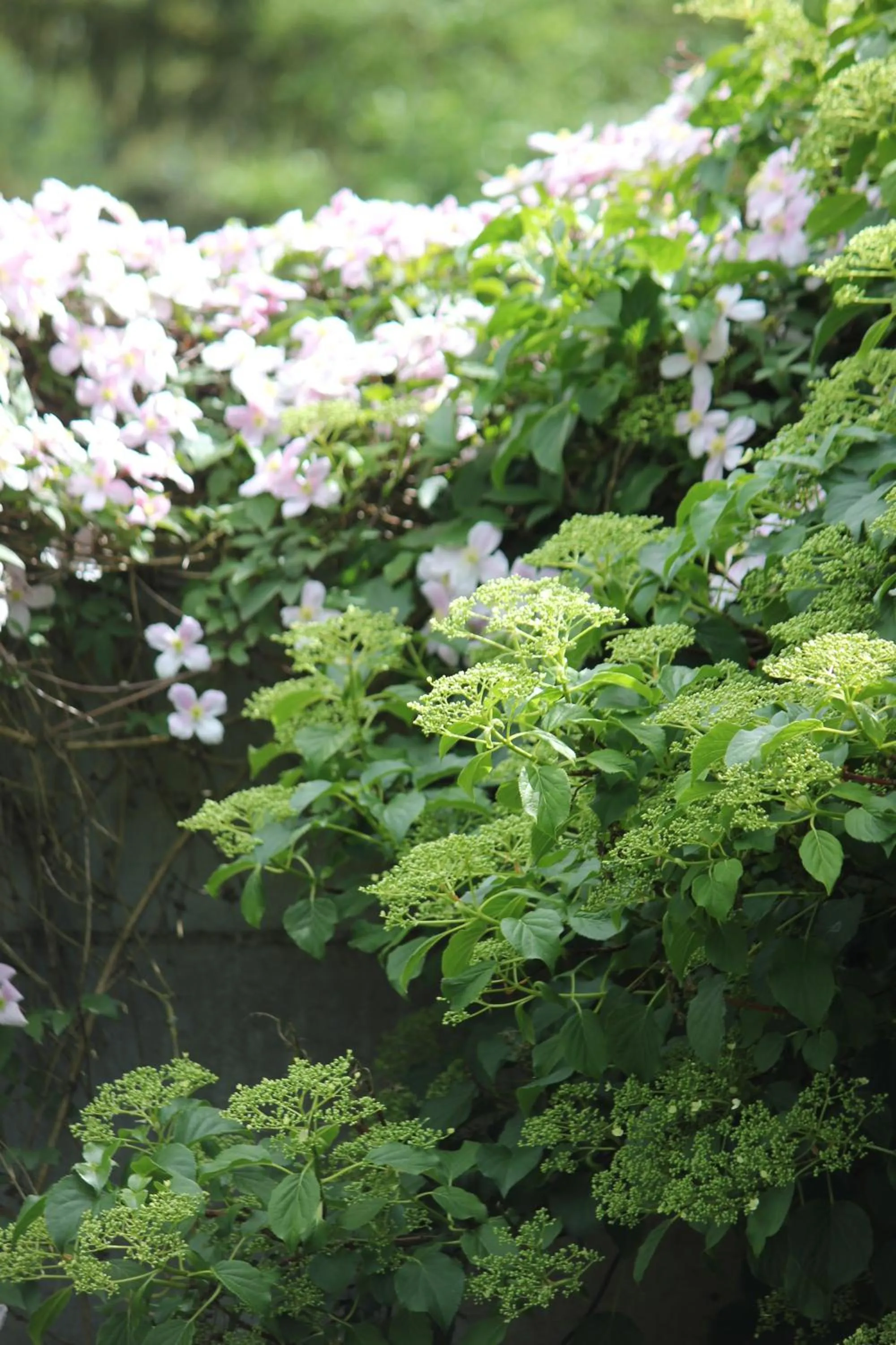 Garden view in Le Chemin du Village