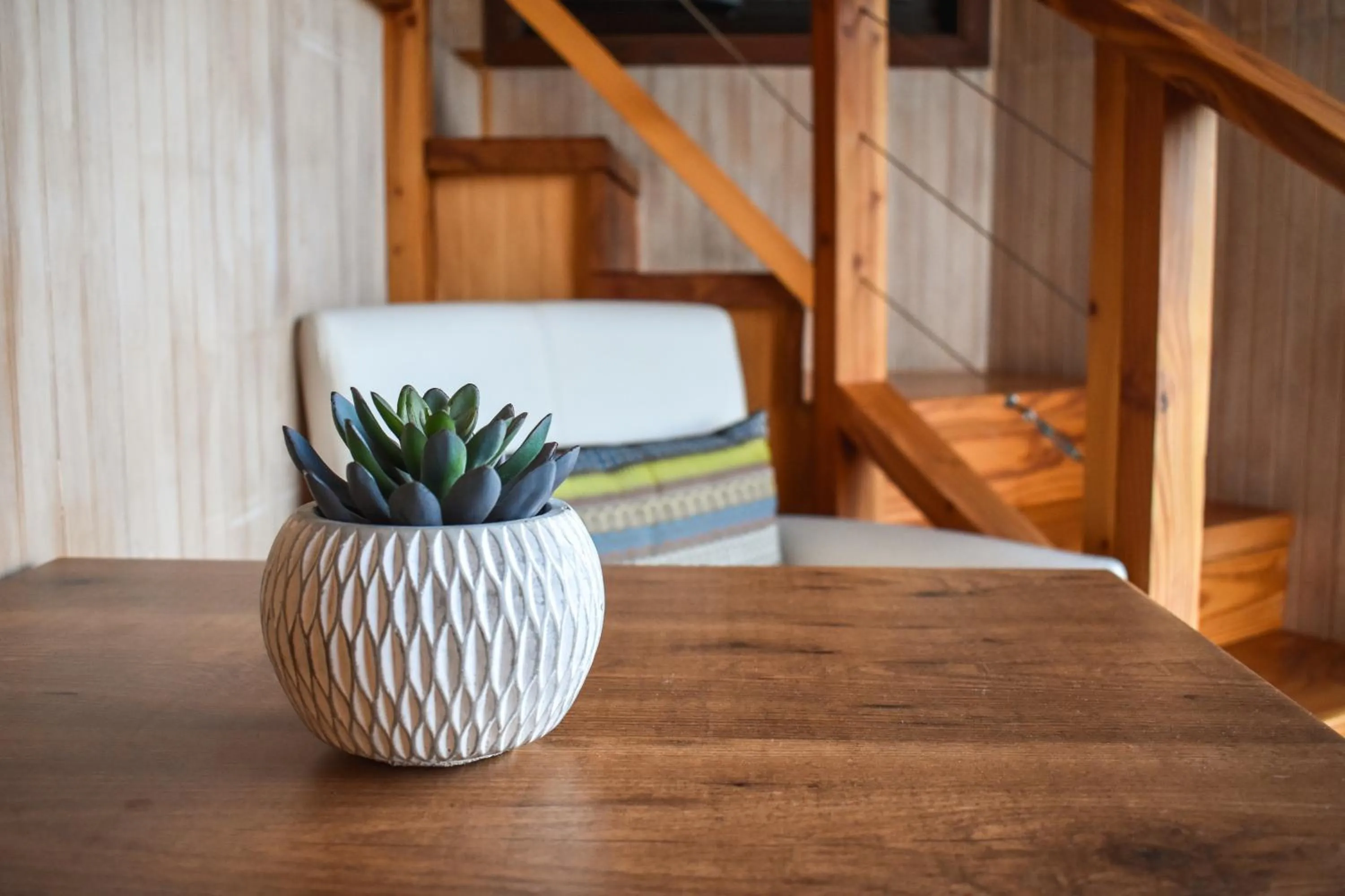 Cabañas Monte Verde