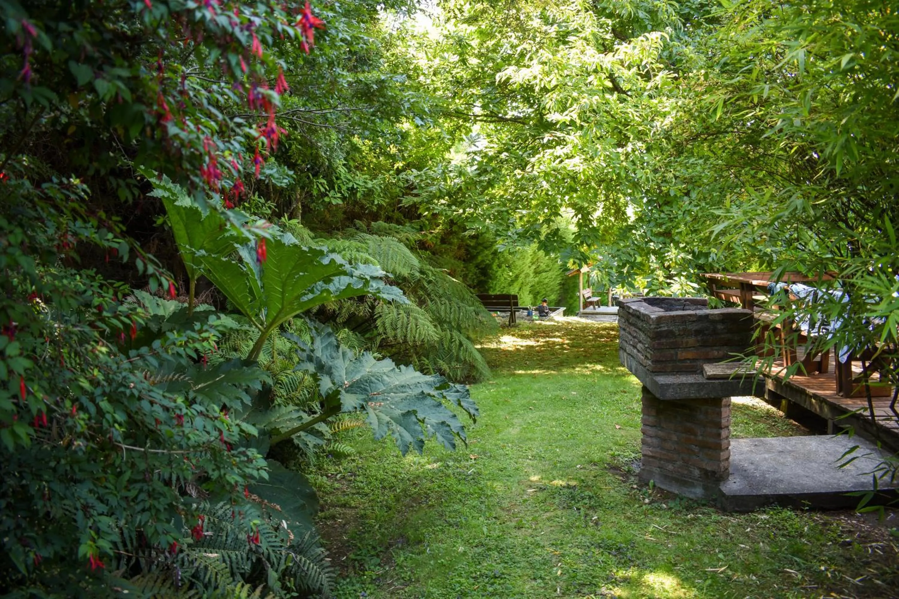 Cabañas Monte Verde