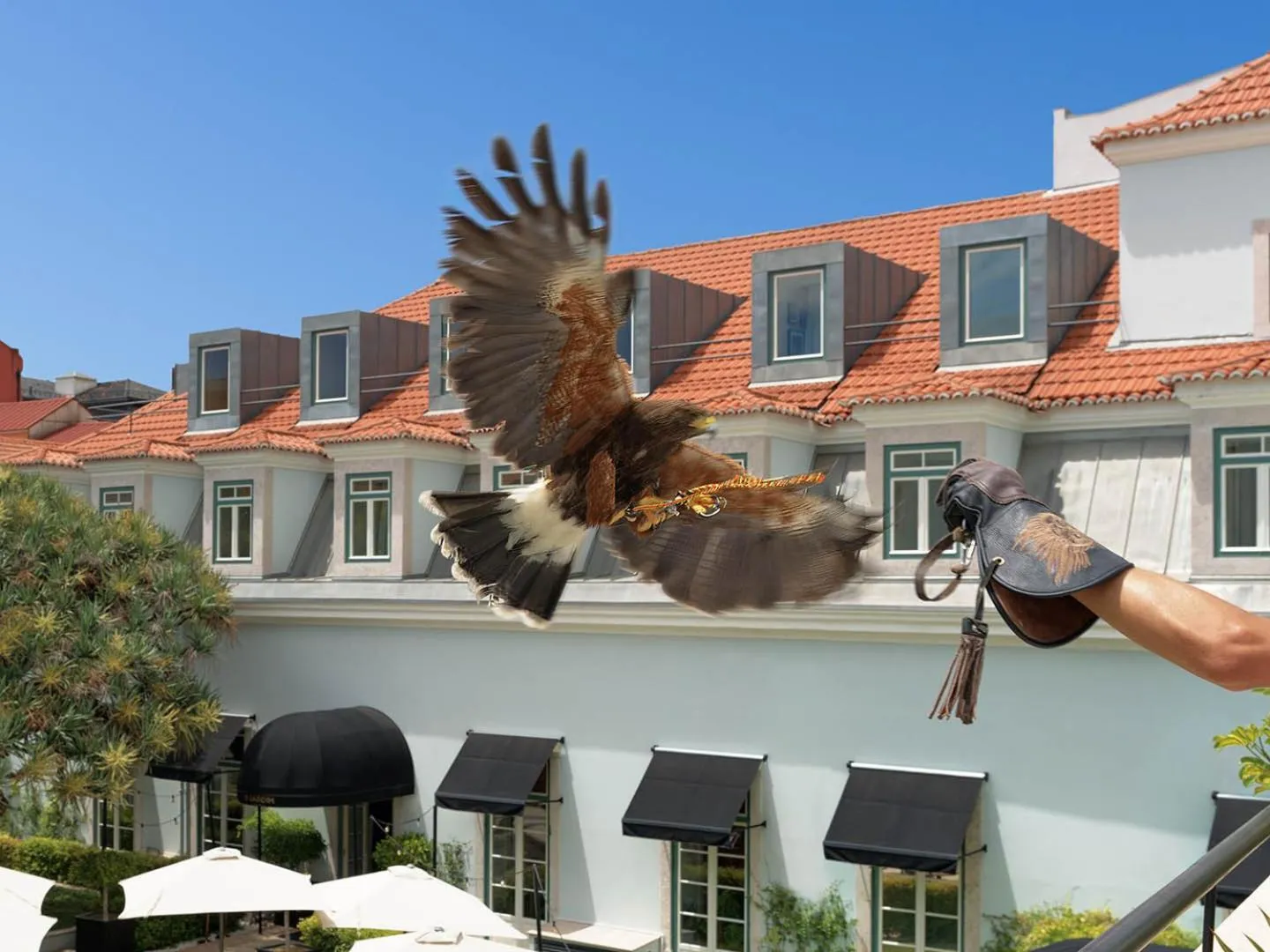 Other in The One Palácio da Anunciada