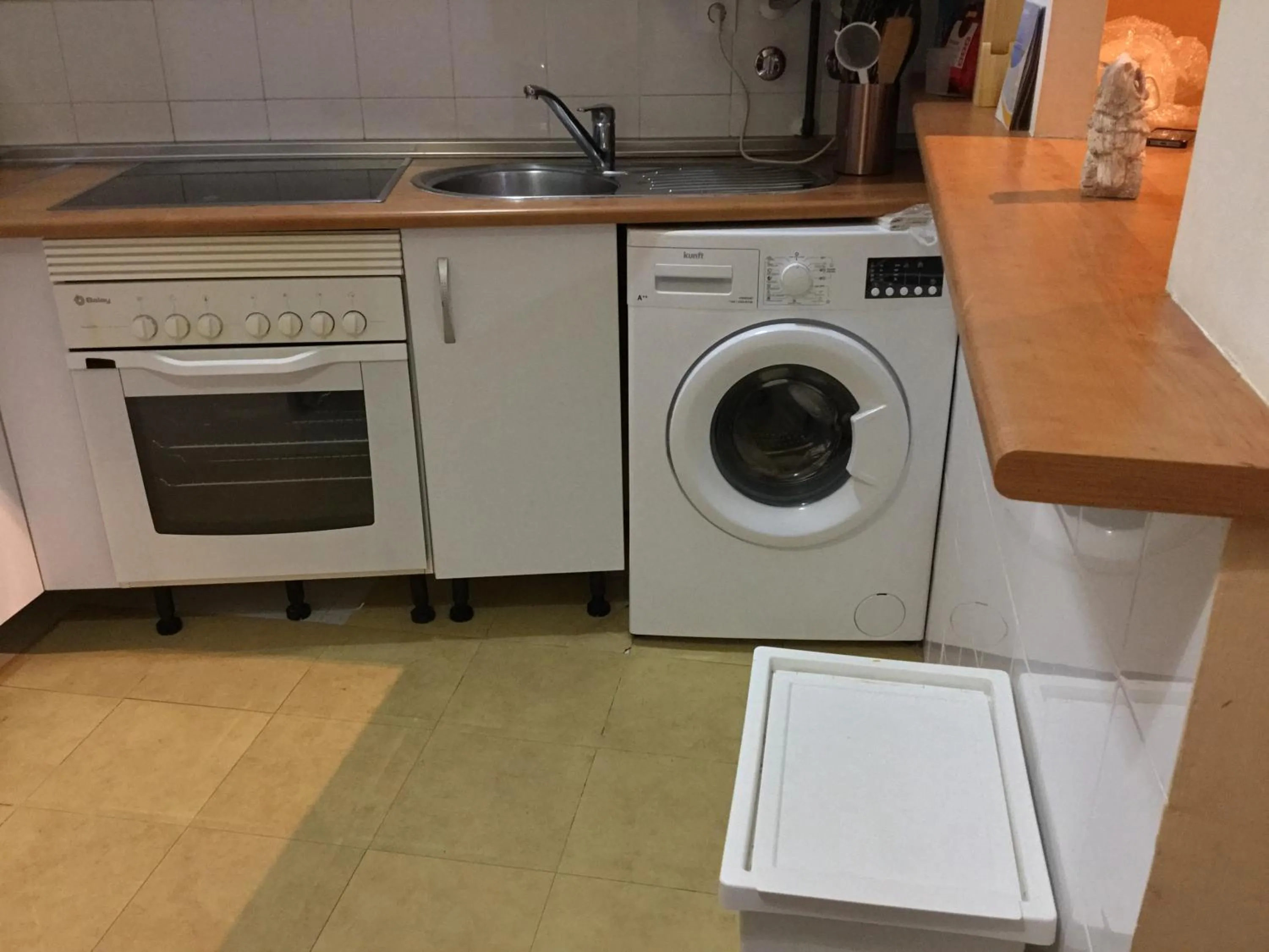 pet friendly in Fuengirola Apartment