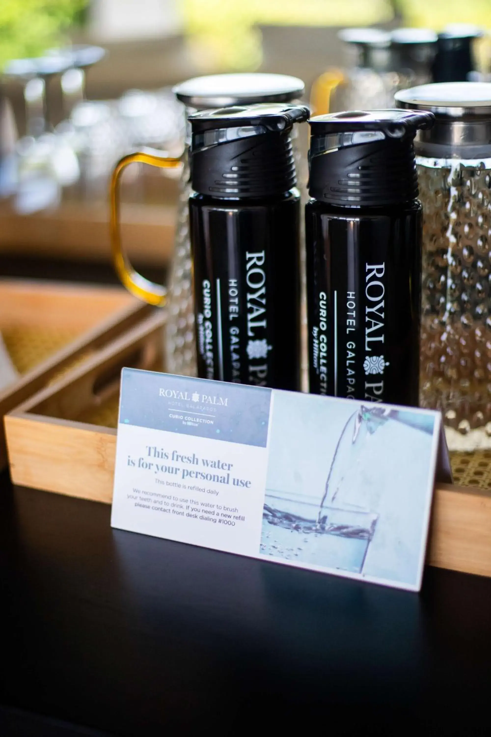 Restaurant/places to eat in Royal Palm Galapagos, Curio Collection Hotel by Hilton Restaurant/places to eat in Royal Palm Galapagos, Curio Collection Hotel by Hilton