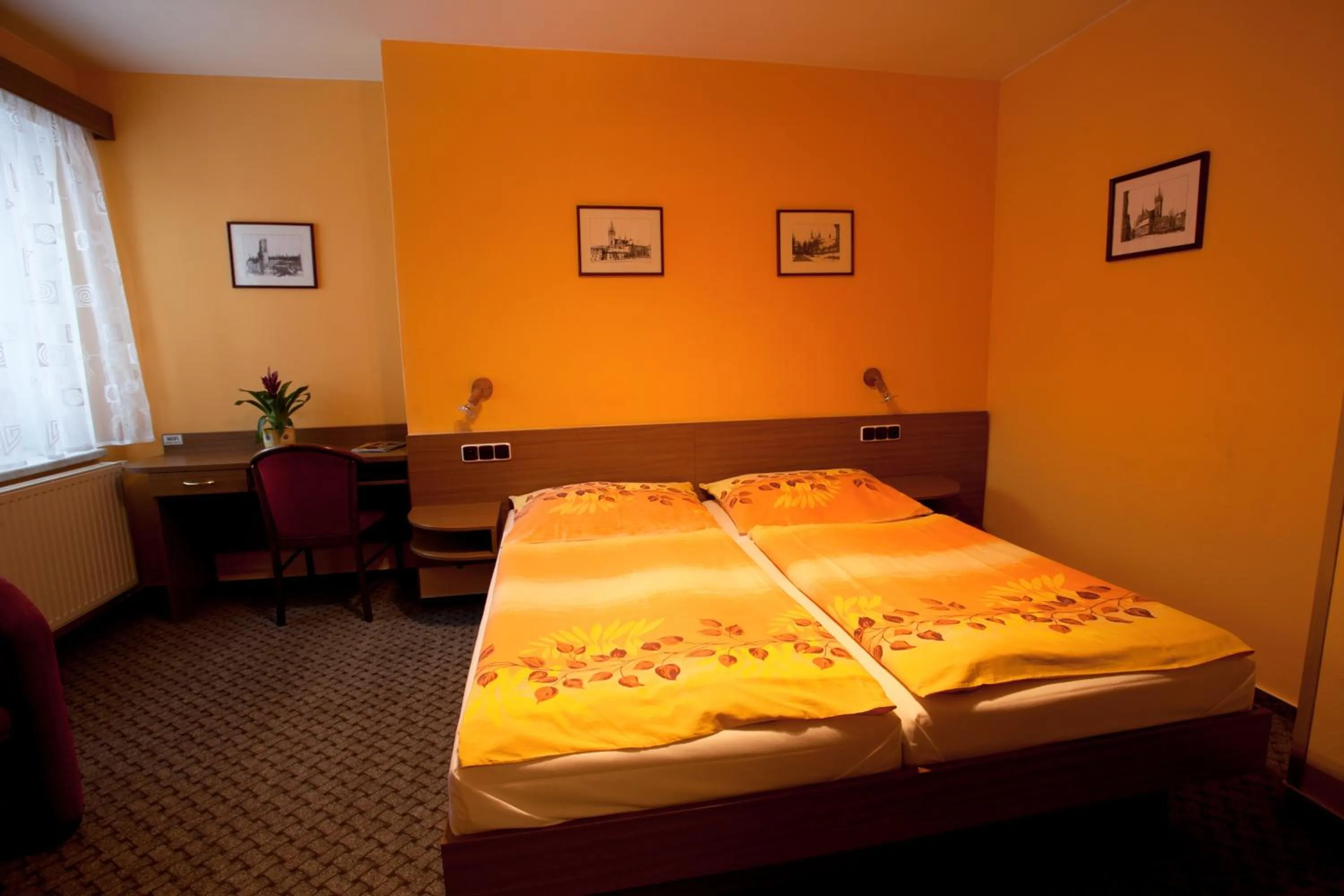 Double Room in Hotel U Jiřího