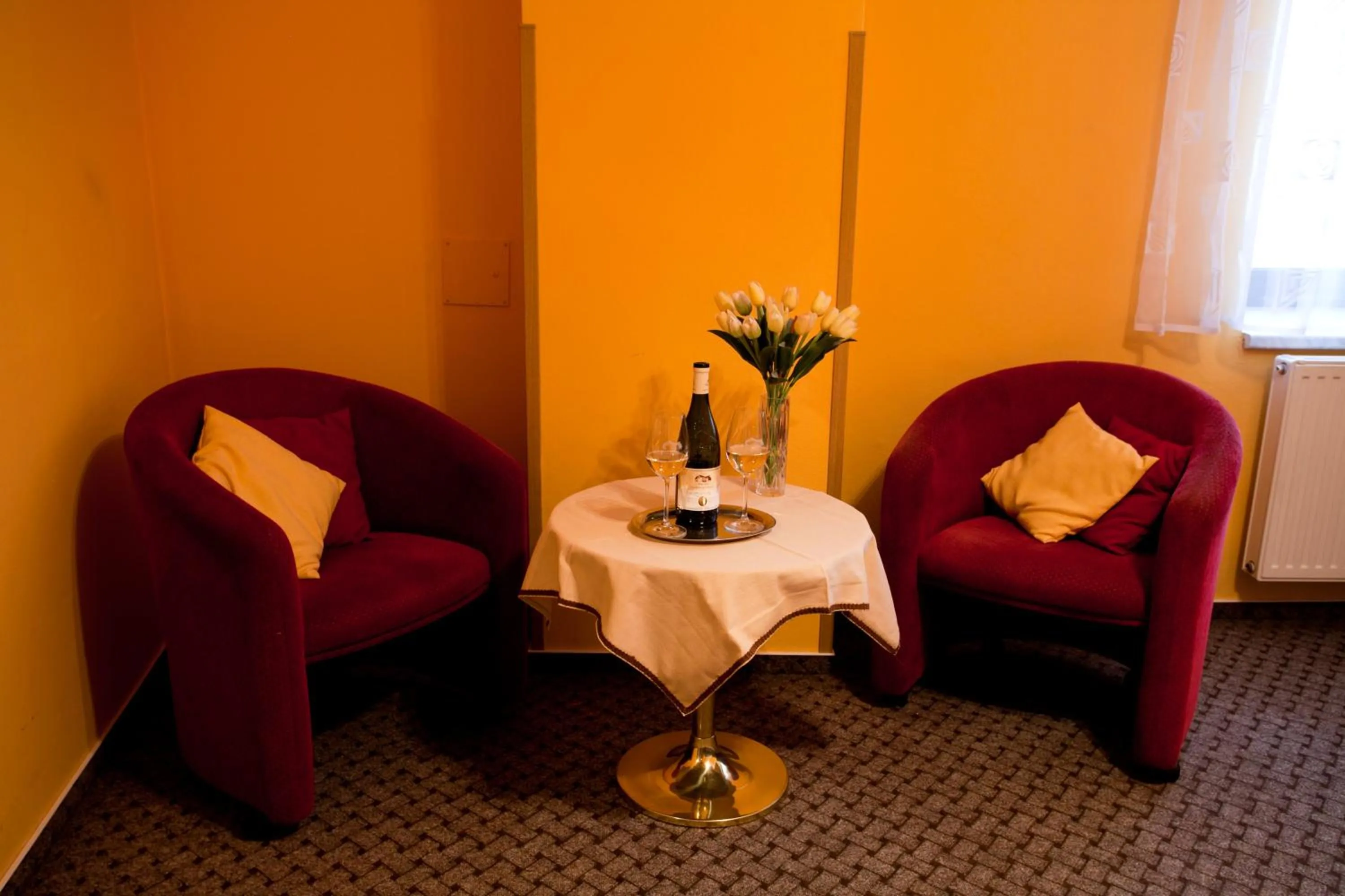 Double Room in Hotel U Jiřího