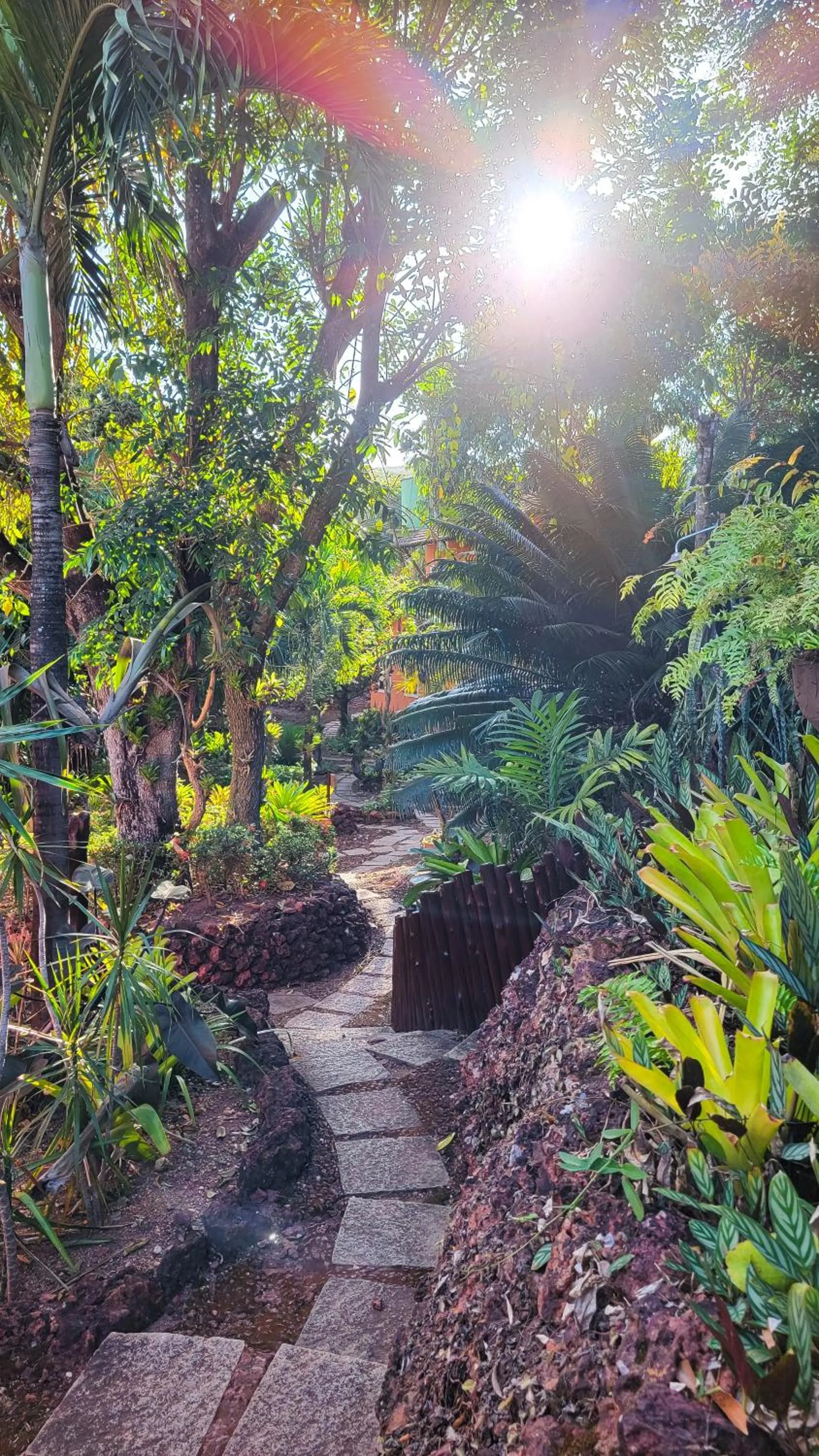 Garden in Mirante de Lençóis