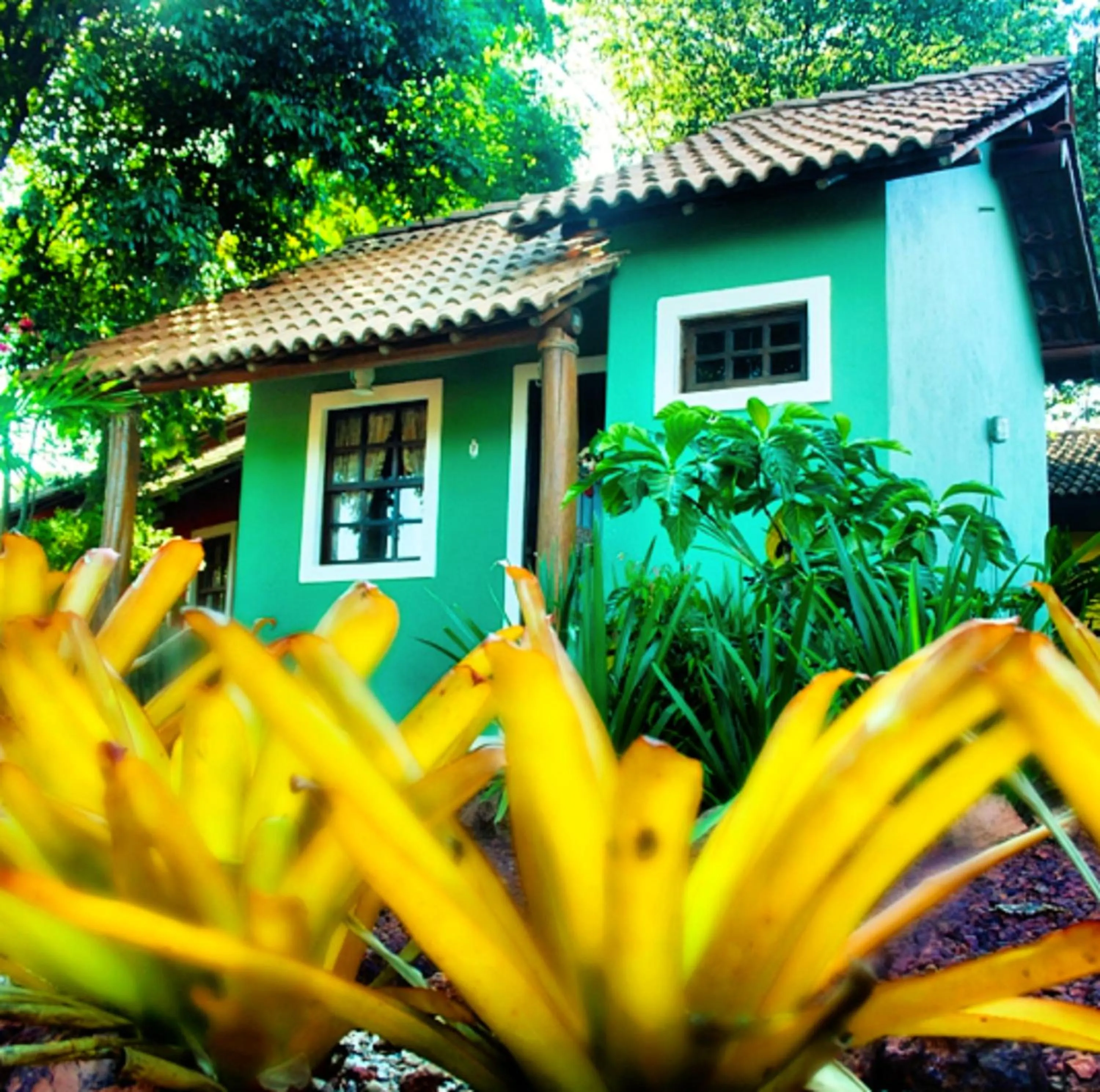Garden in Mirante de Lençóis