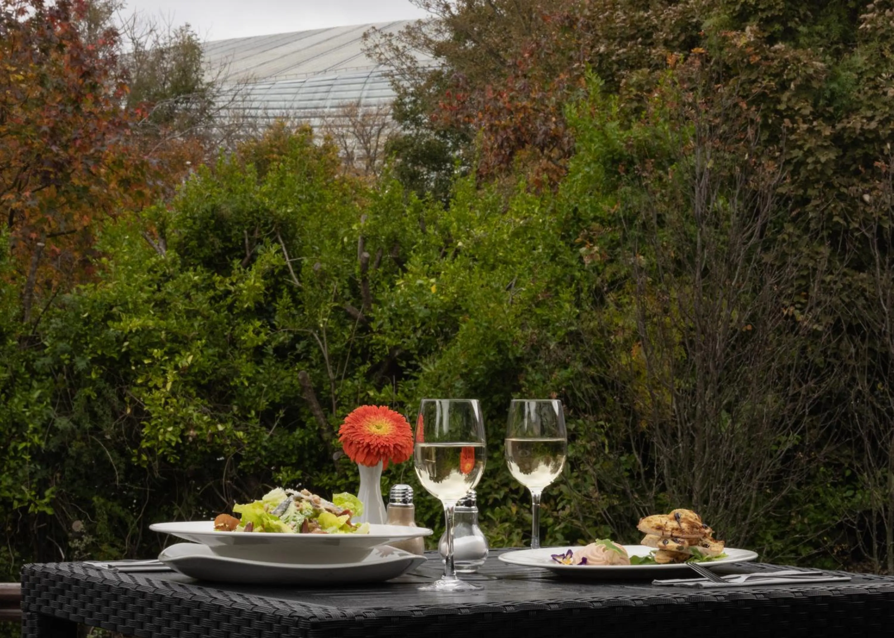 Food close-up in The Sandymount Hotel