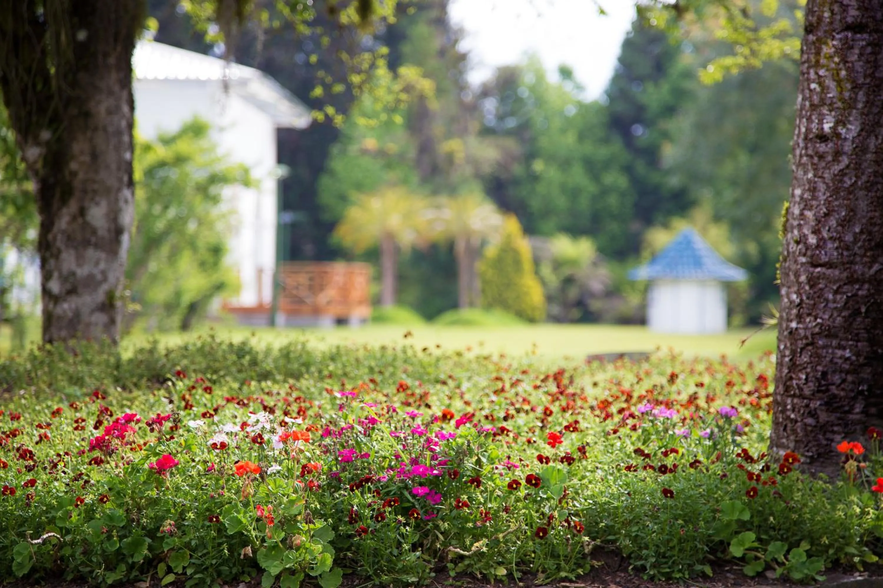 Garden in Hotel Gramado Palace