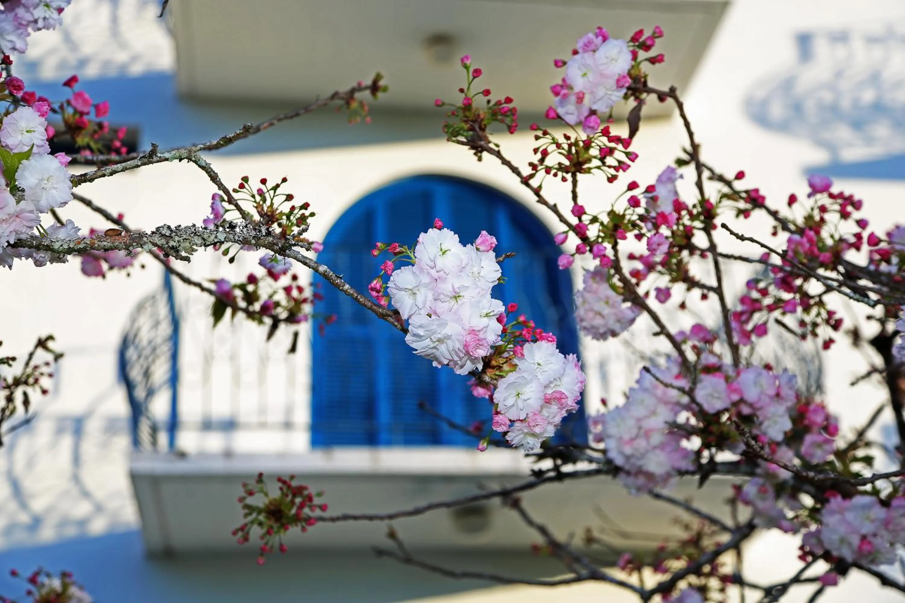 Property building in Hotel Gramado Palace