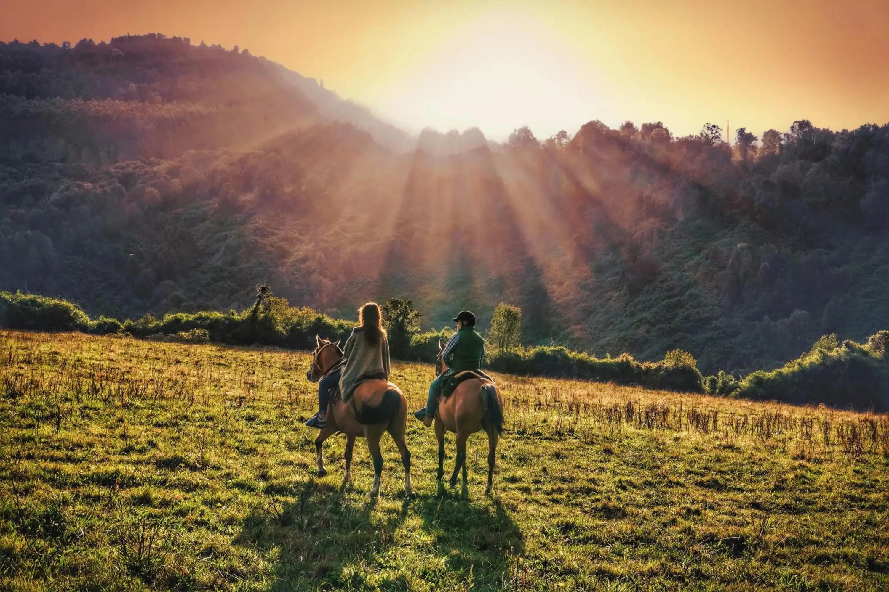 Hotel Termas Puyehue Wellness & Spa Resort Hotel Termas Puyehue Wellness & Spa Resort