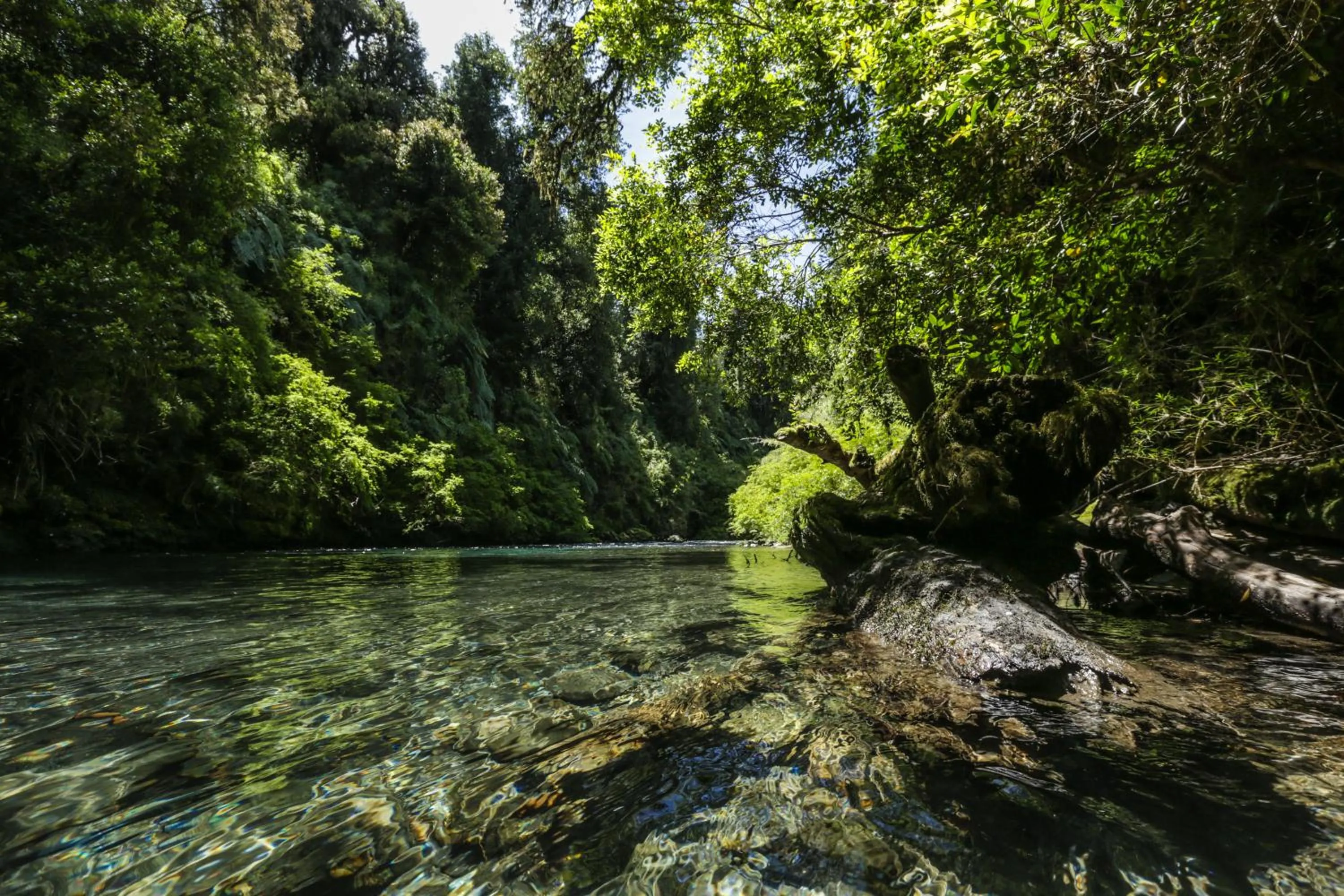 Hiking in Hotel Termas Puyehue Wellness & Spa Resort