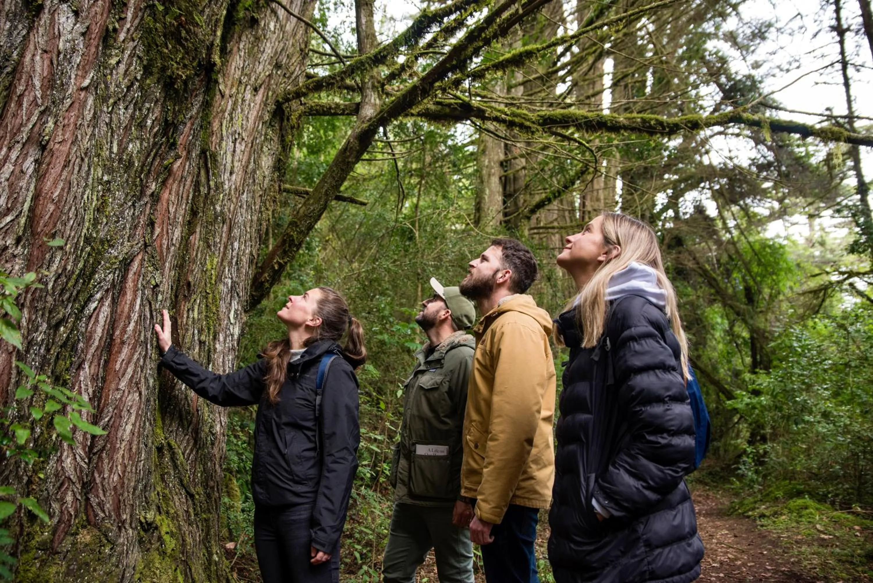 Hotel Termas Puyehue Wellness & Spa Resort