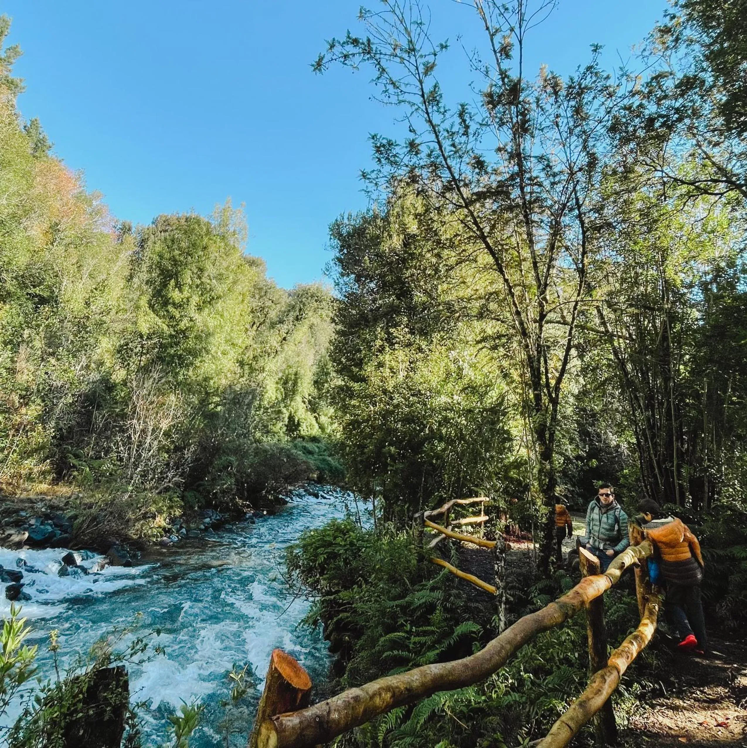 Hotel Termas Puyehue Wellness & Spa Resort
