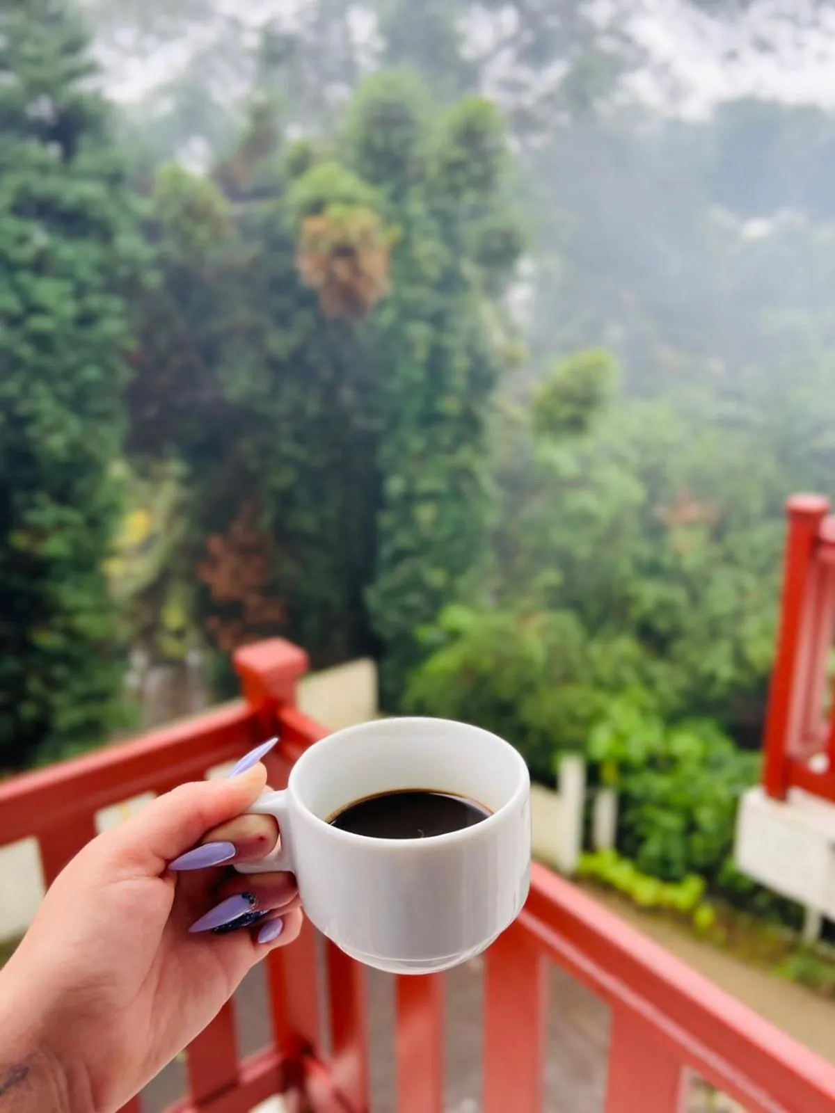 View (from property/room) in Pousada do Lago - Gramado