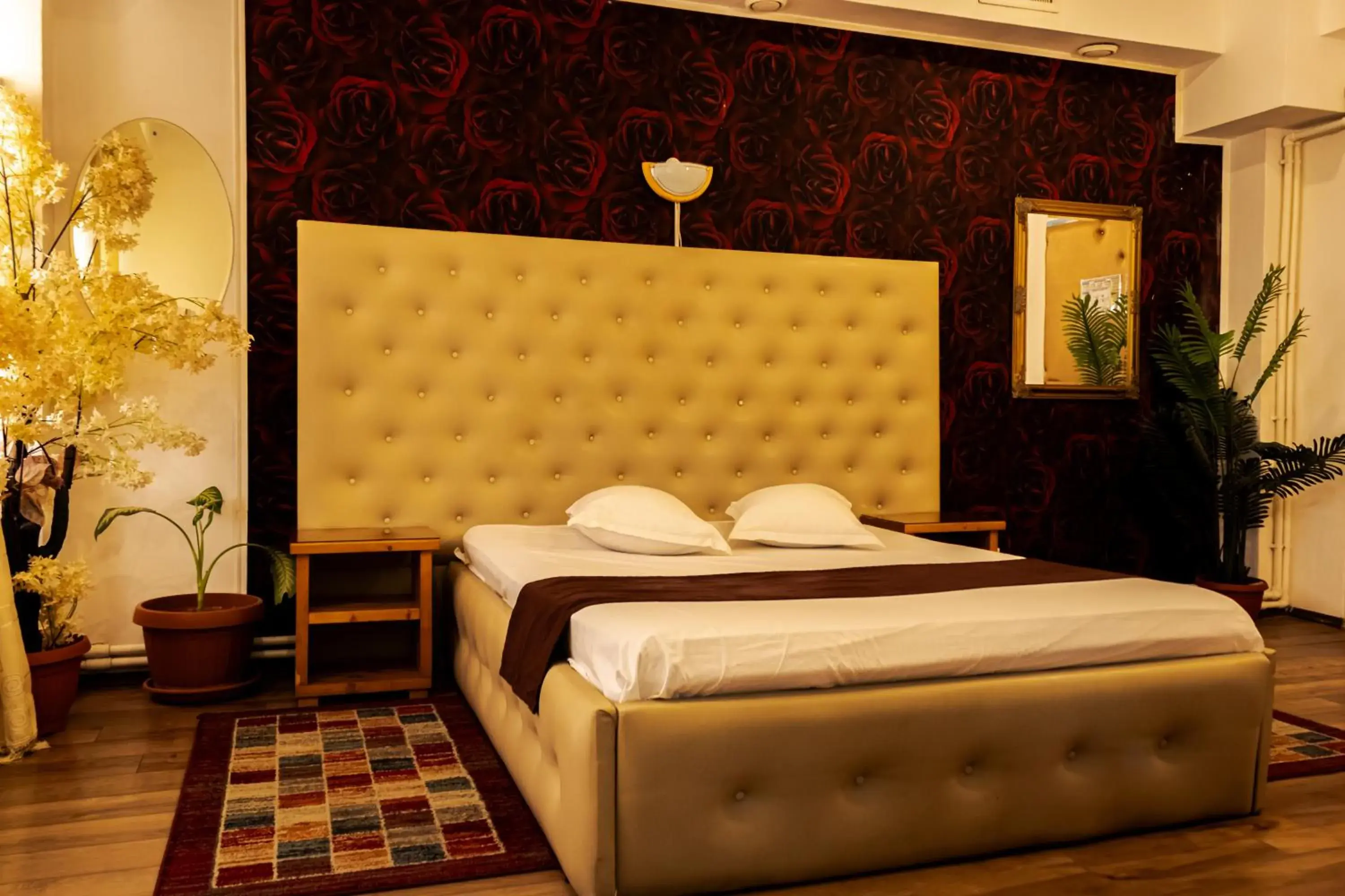 Double Room in Hotel Funnytime Double Room in Hotel Funnytime