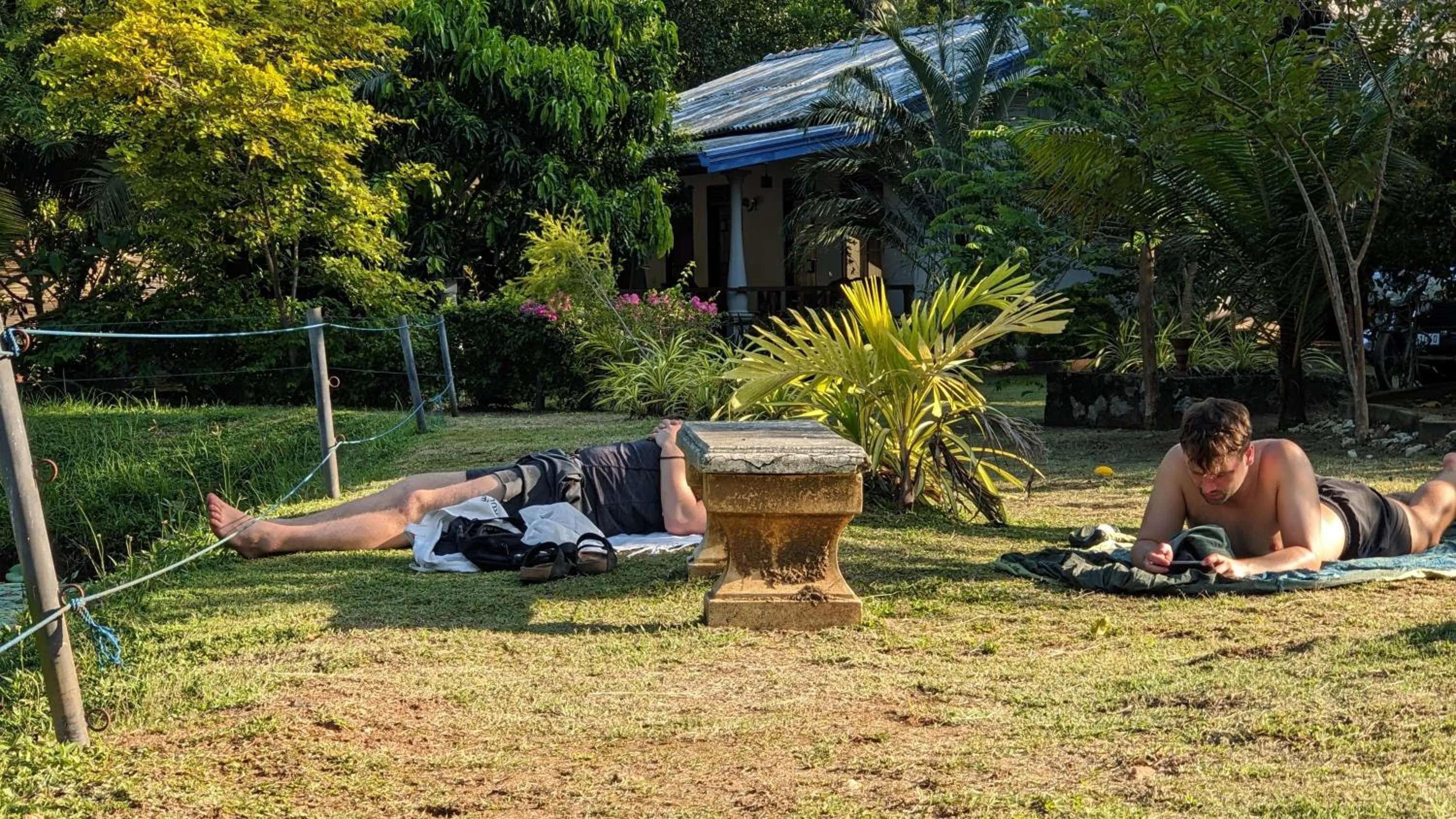 Day in Avian Garden Udawalawe