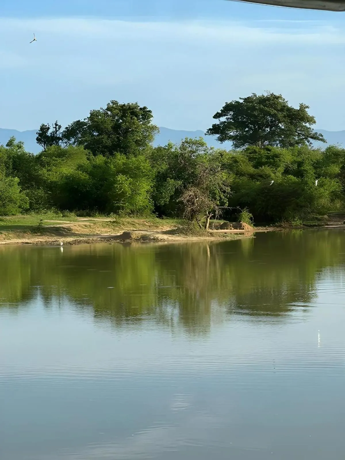 Natural landscape in Avian Garden Udawalawe