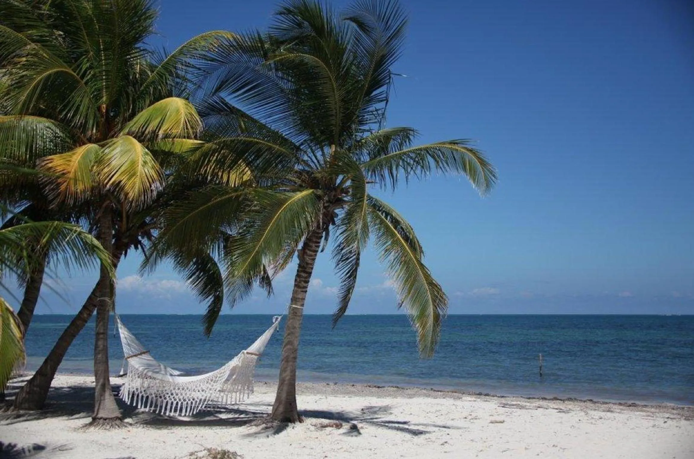 Beach in Grand Slam Fishing Lodge Tulum