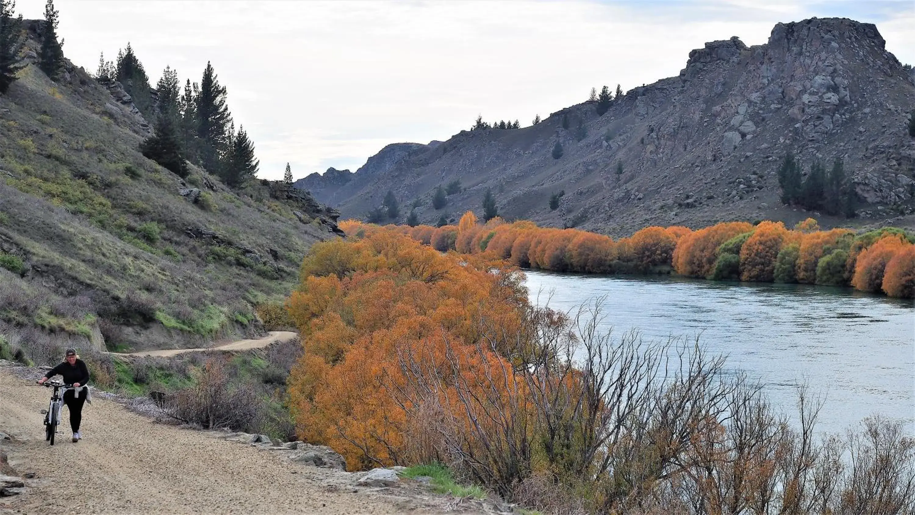 Natural landscape in Hartley Homestead Boutique Bed & Breakfast Natural landscape in Hartley Homestead Boutique Bed & Breakfast