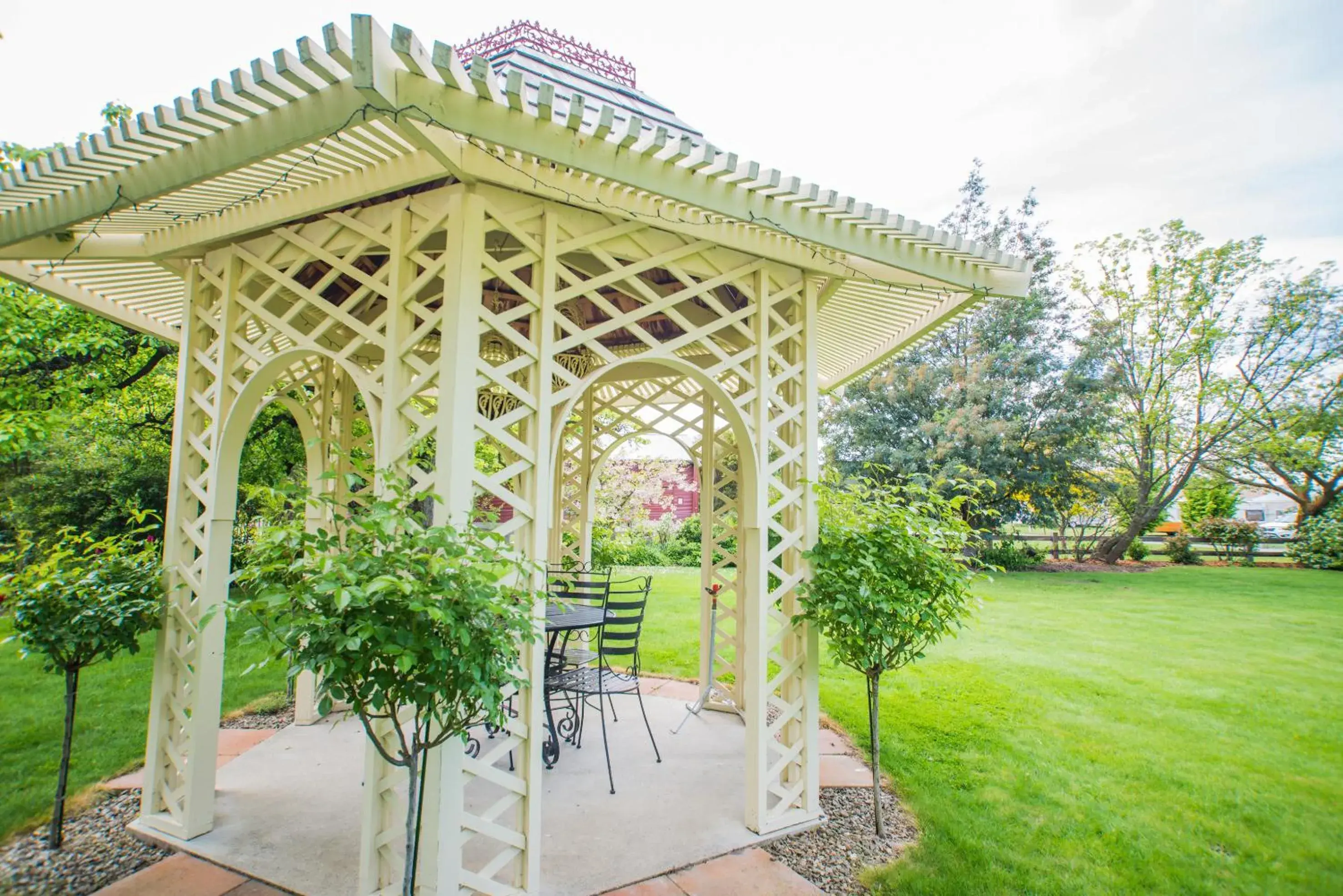 Garden in Hartley Homestead Boutique Bed & Breakfast Garden in Hartley Homestead Boutique Bed & Breakfast