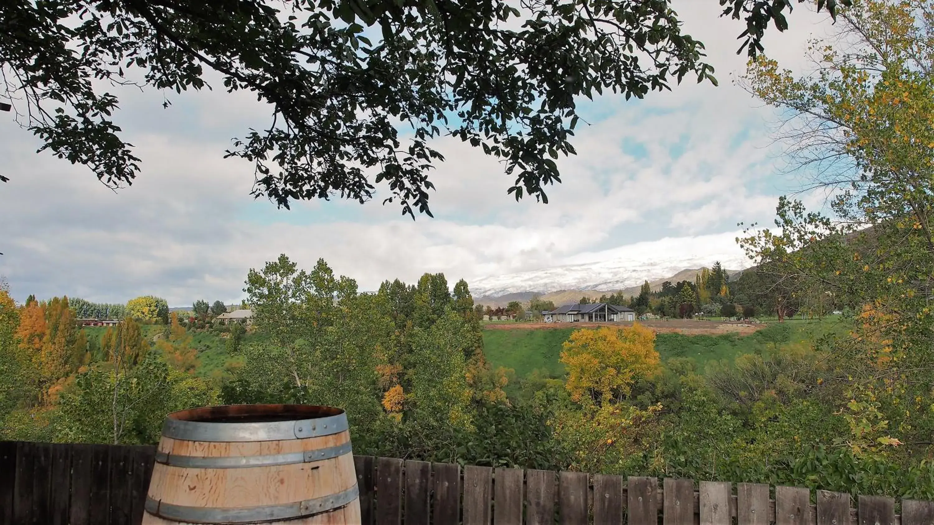 Natural landscape in Hartley Homestead Boutique Bed & Breakfast Natural landscape in Hartley Homestead Boutique Bed & Breakfast