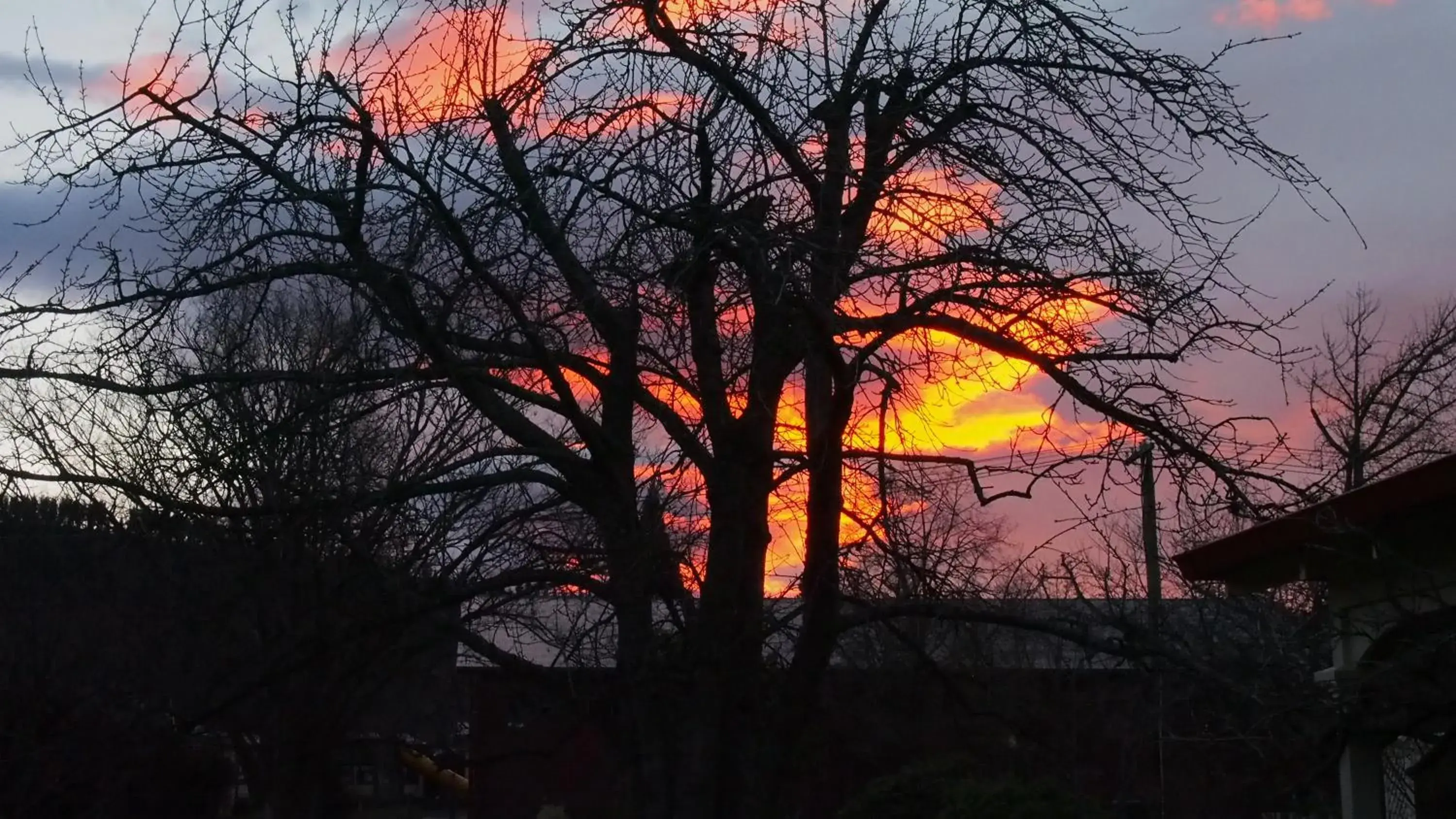 Winter in Hartley Homestead Boutique Bed & Breakfast Winter in Hartley Homestead Boutique Bed & Breakfast