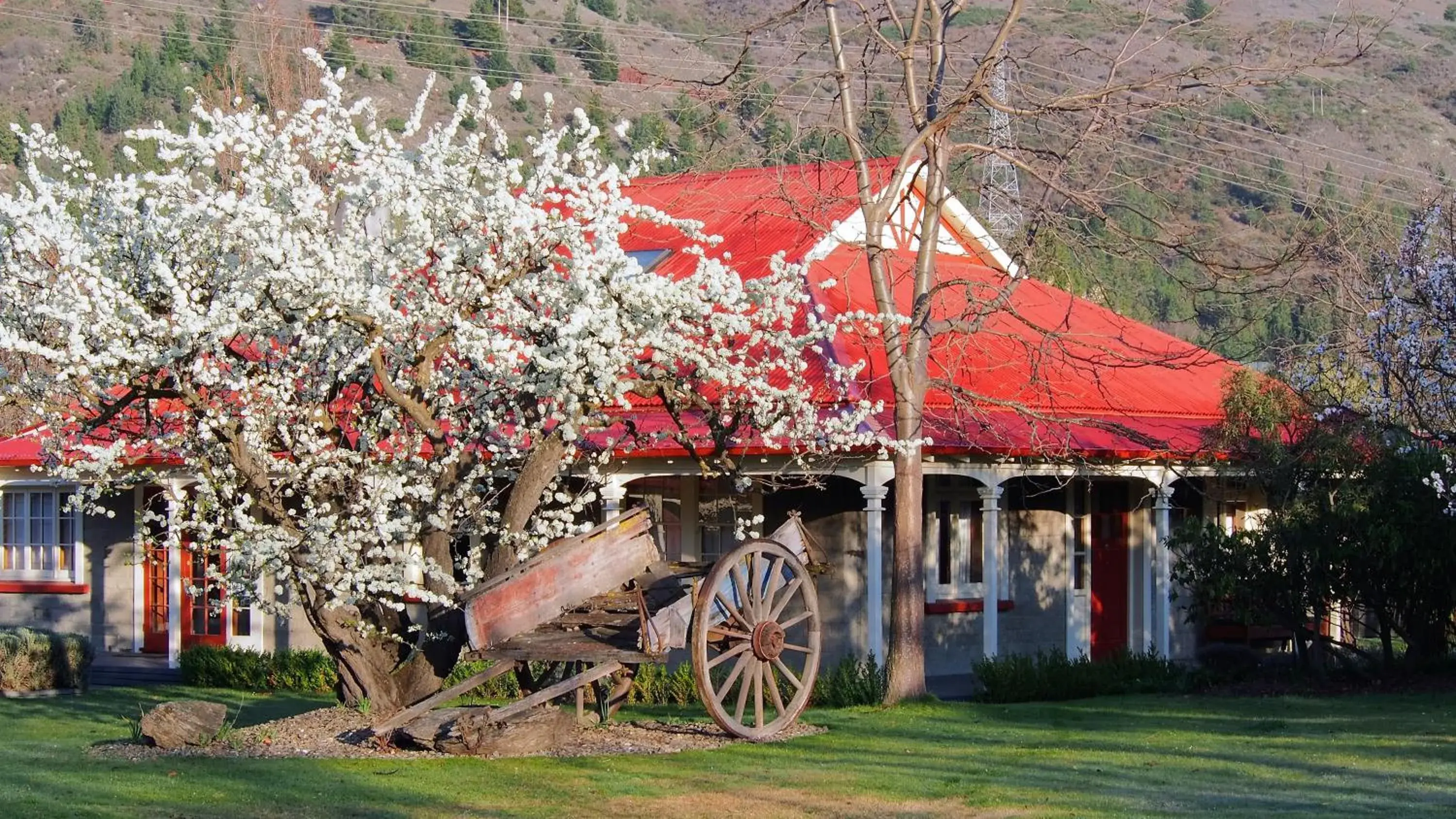 Spring in Hartley Homestead Boutique Bed & Breakfast Spring in Hartley Homestead Boutique Bed & Breakfast