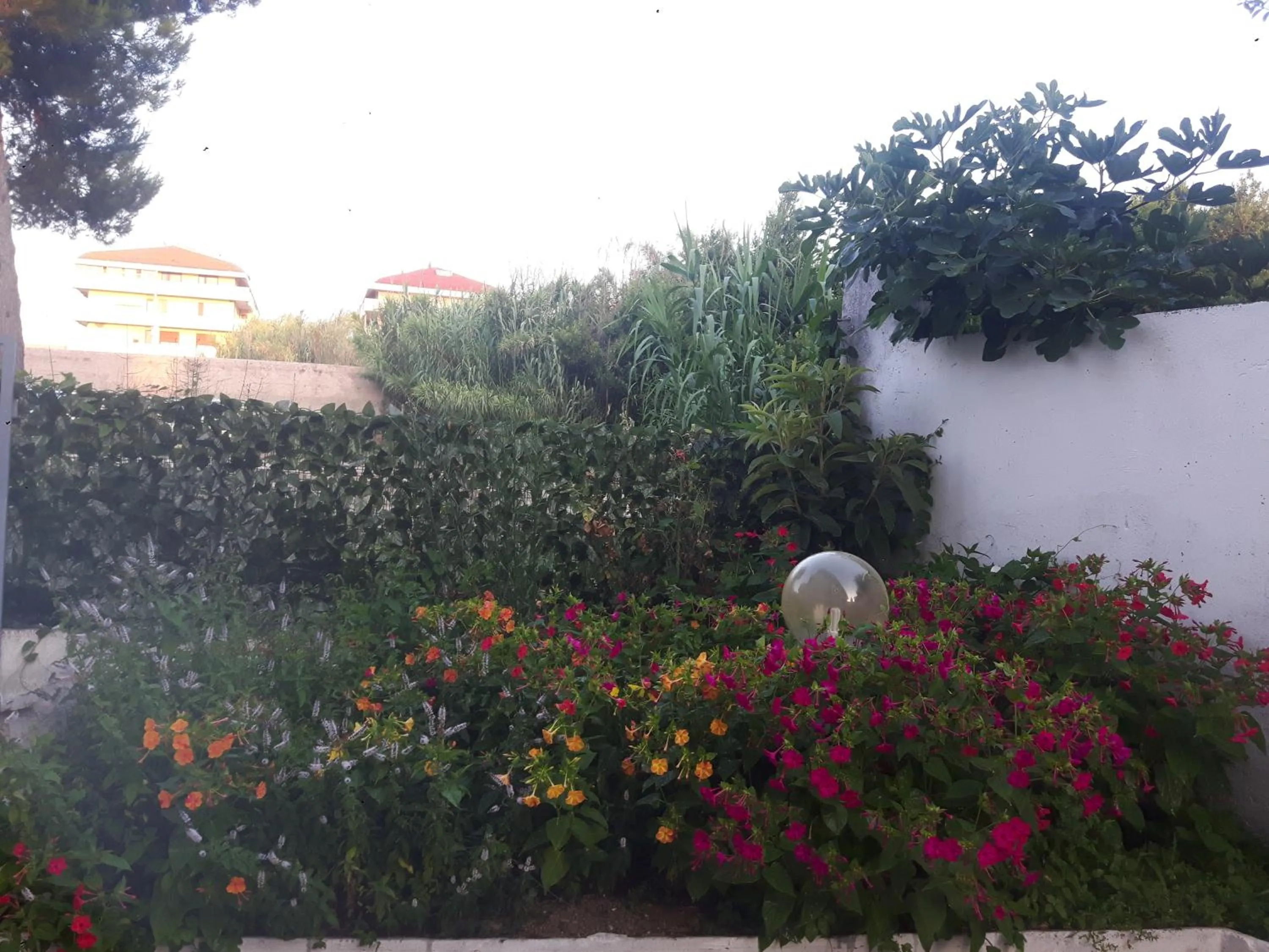 Property building in pienosole B&B