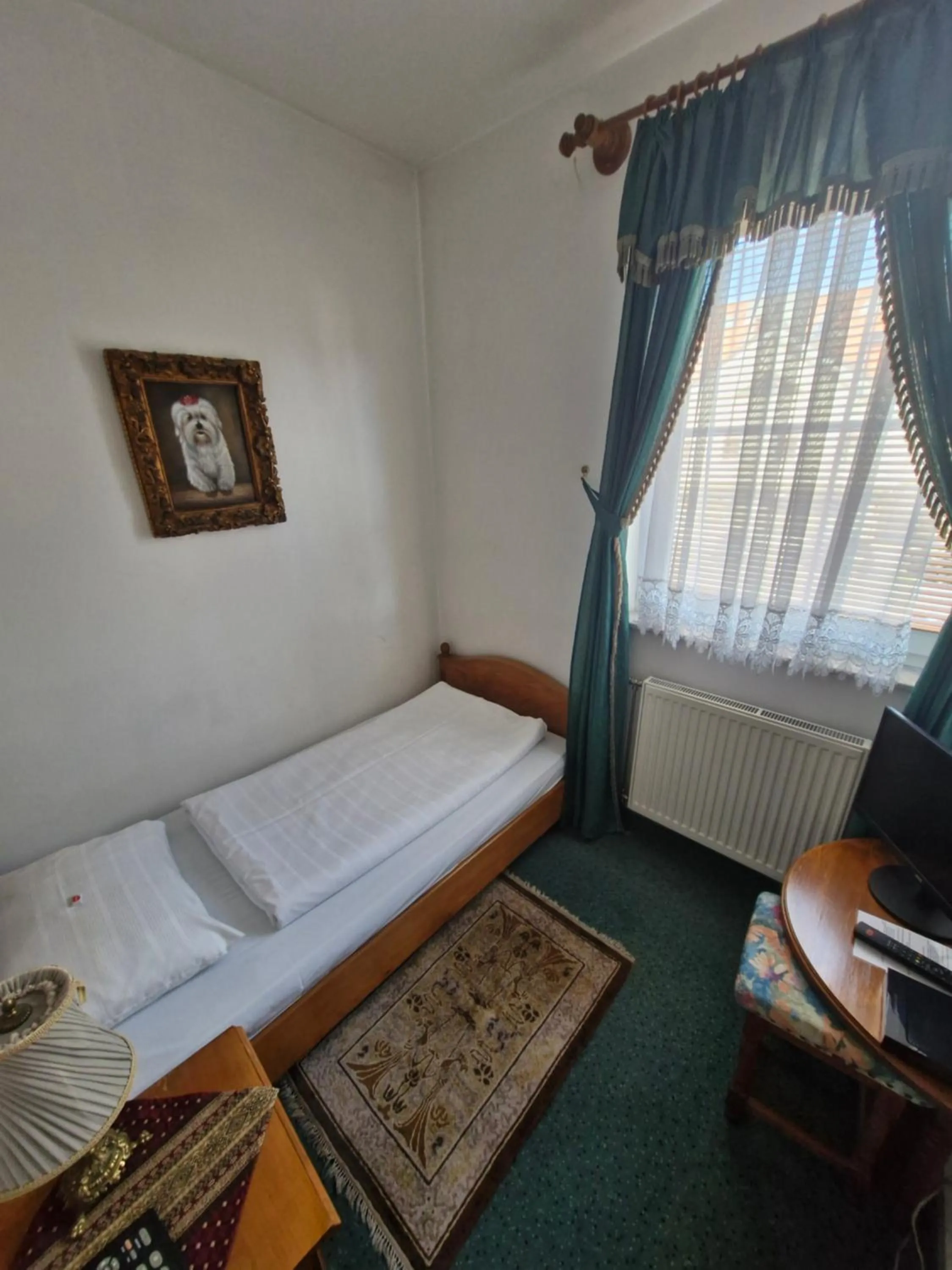 Small Twin Room - single occupancy in Hotel Razgorsek