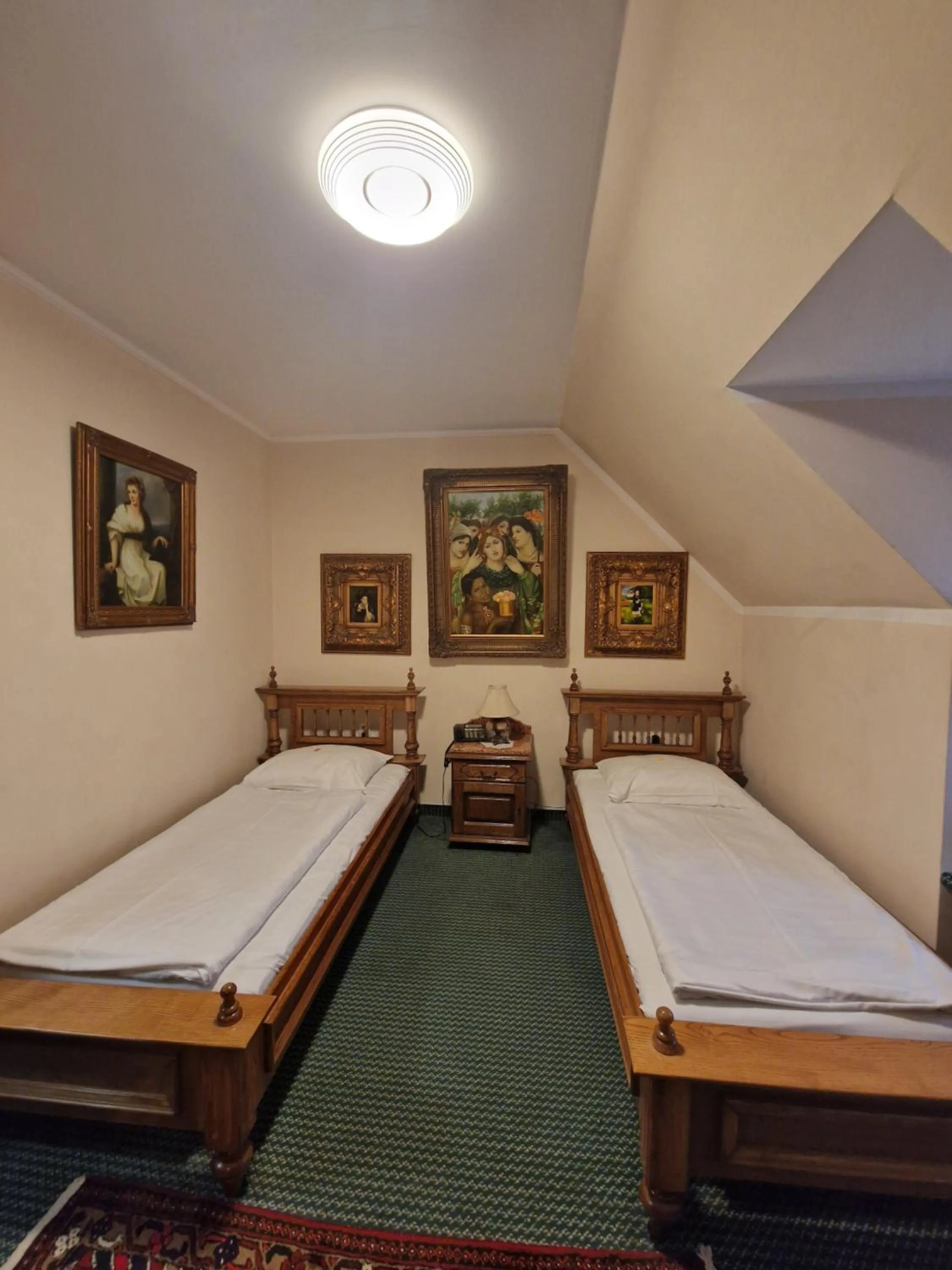 Standard Twin Room - single occupancy in Hotel Razgorsek
