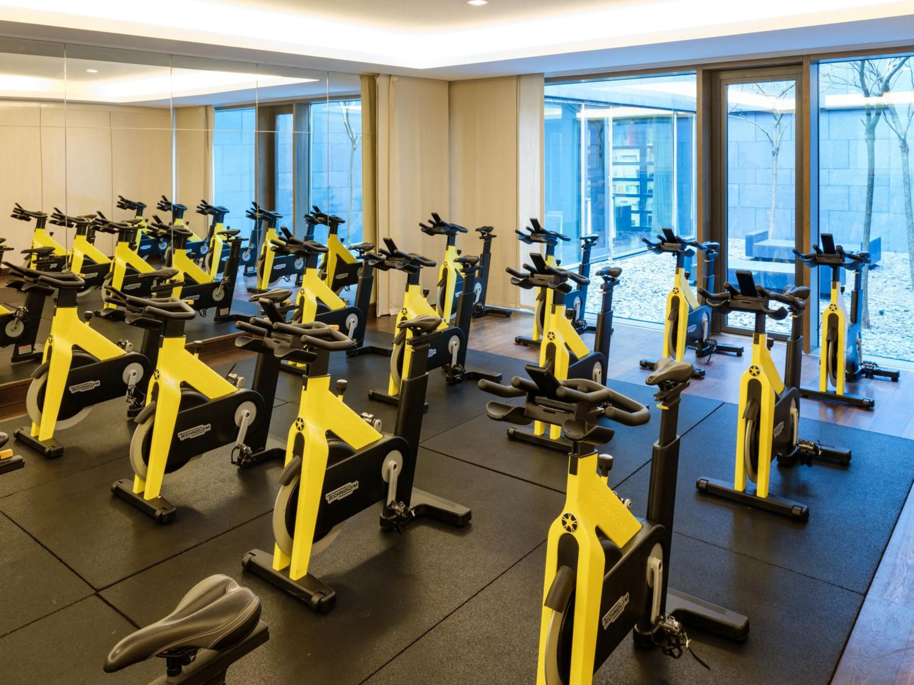 Fitness centre/facilities in The Europe Hotel & Resort