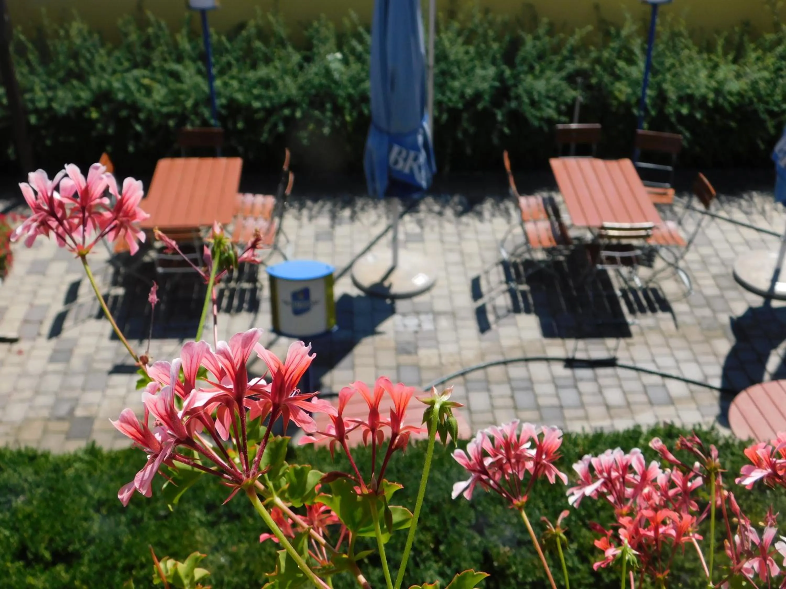 Balcony/Terrace in Hotel Hecht Garni