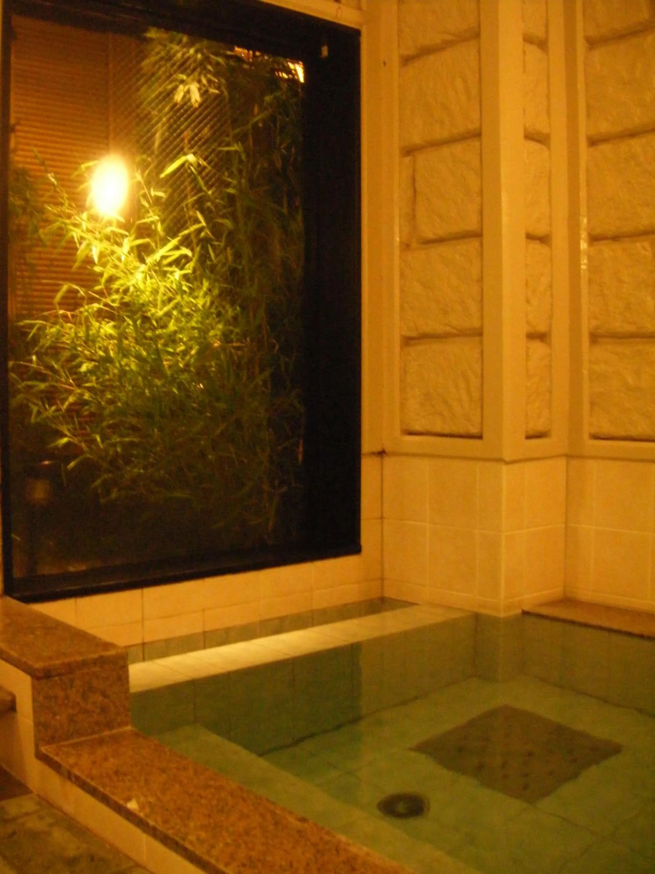 Swimming pool in Hotel Route-Inn Nagaizumi Numazu Inter 1