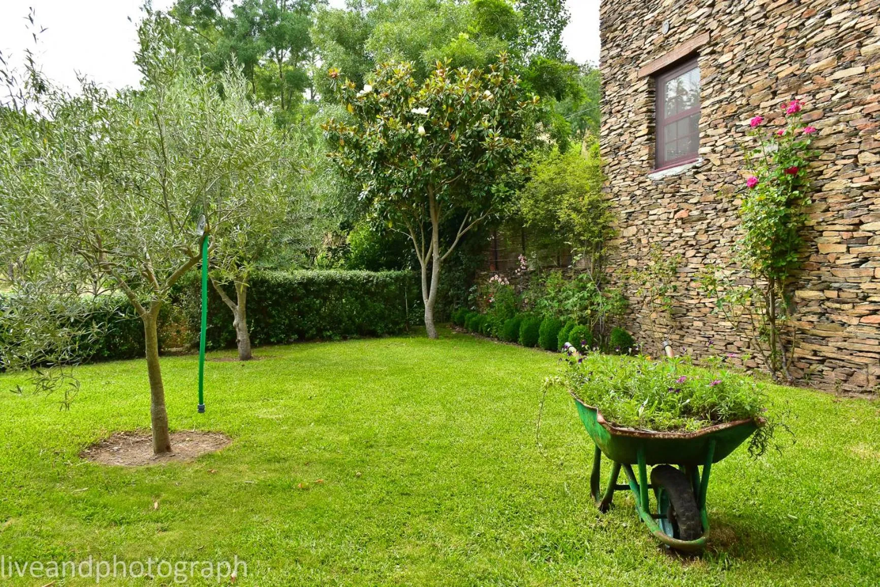 Garden view in Casa Lagar Da Alagoa