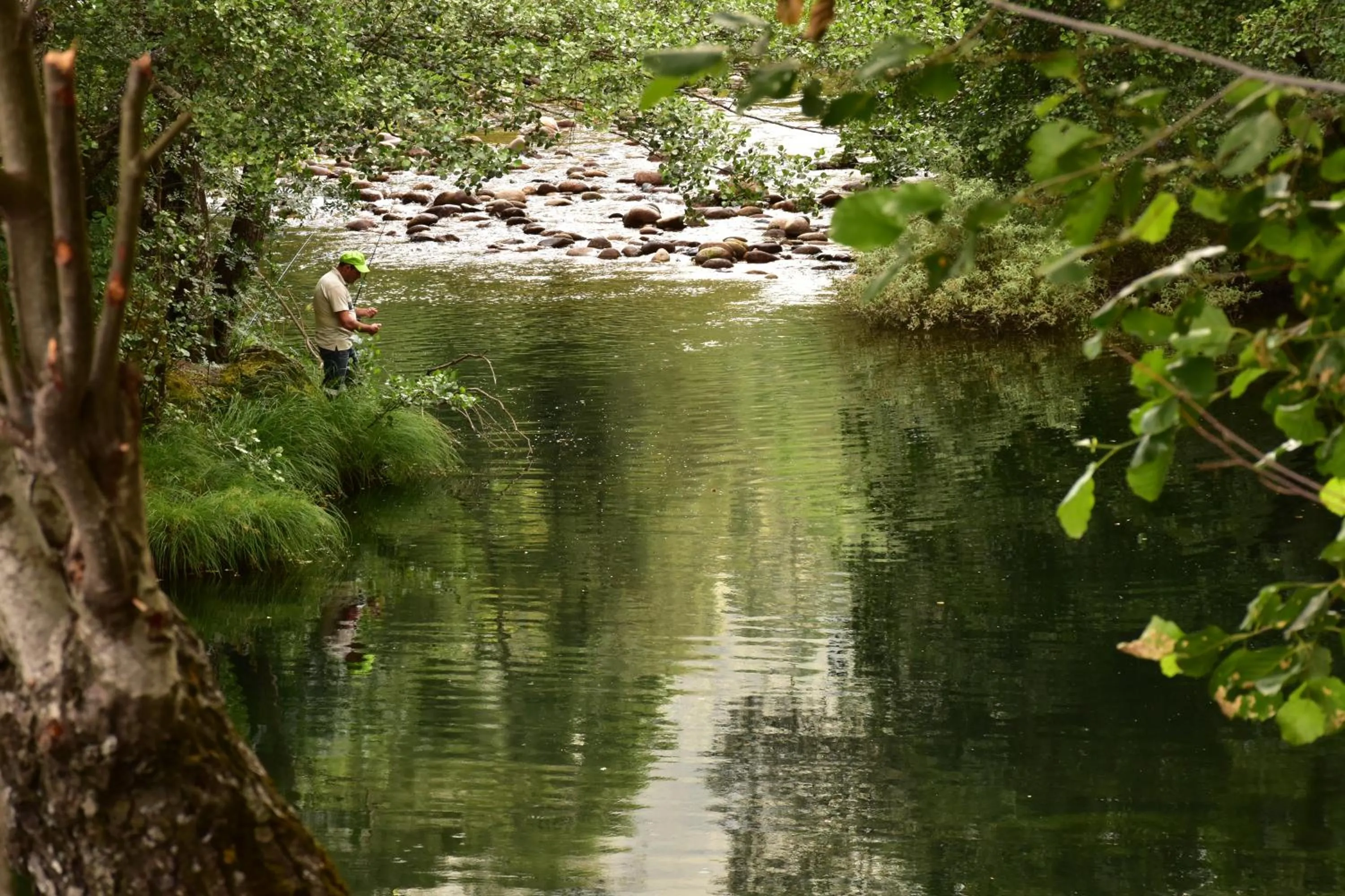 Beach in Casa Lagar Da Alagoa