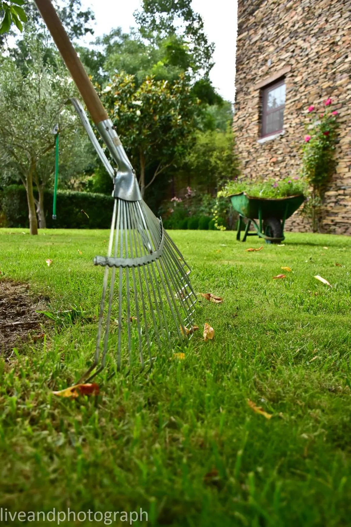 Garden view in Casa Lagar Da Alagoa