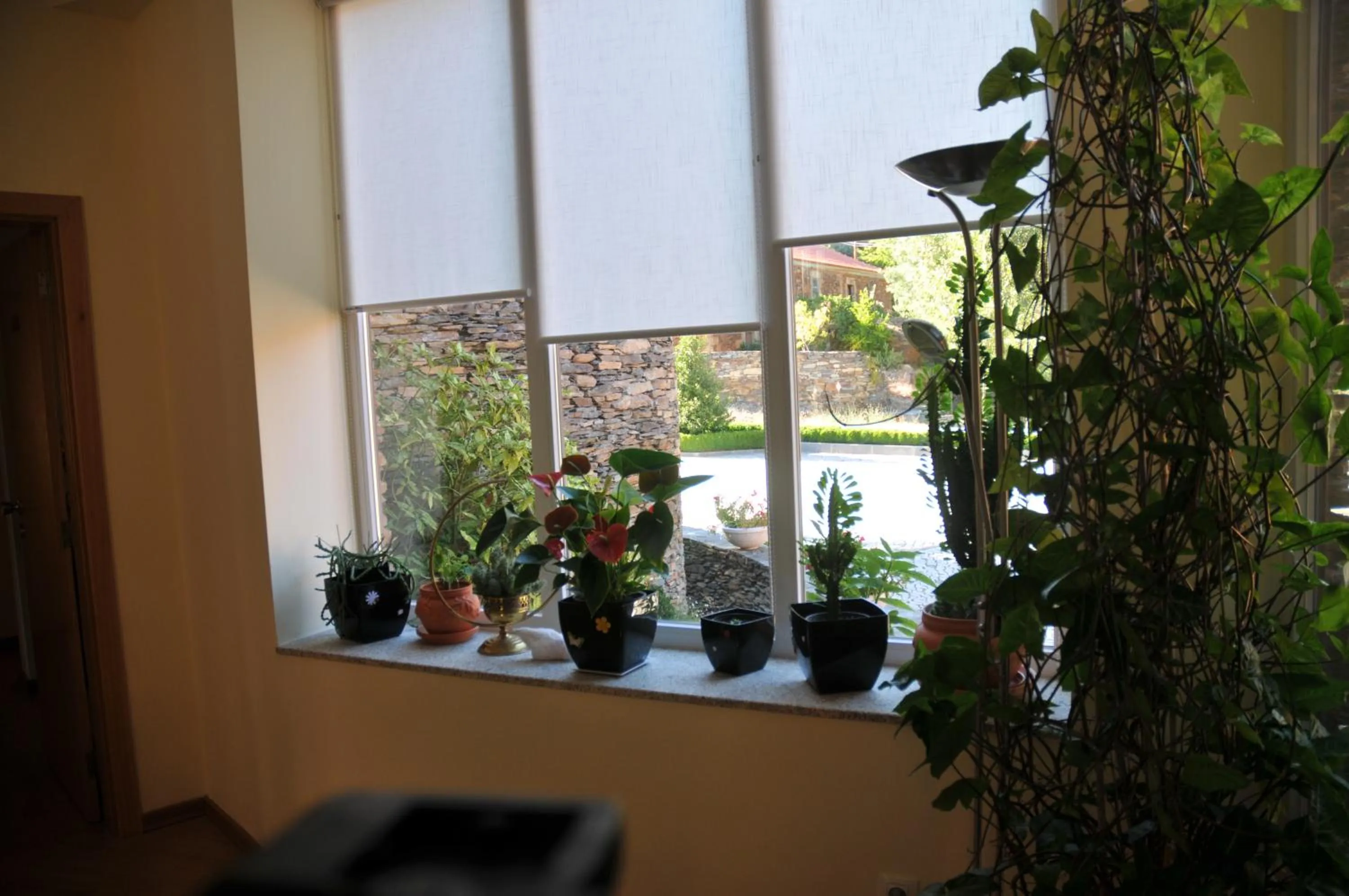 Casa Lagar Da Alagoa