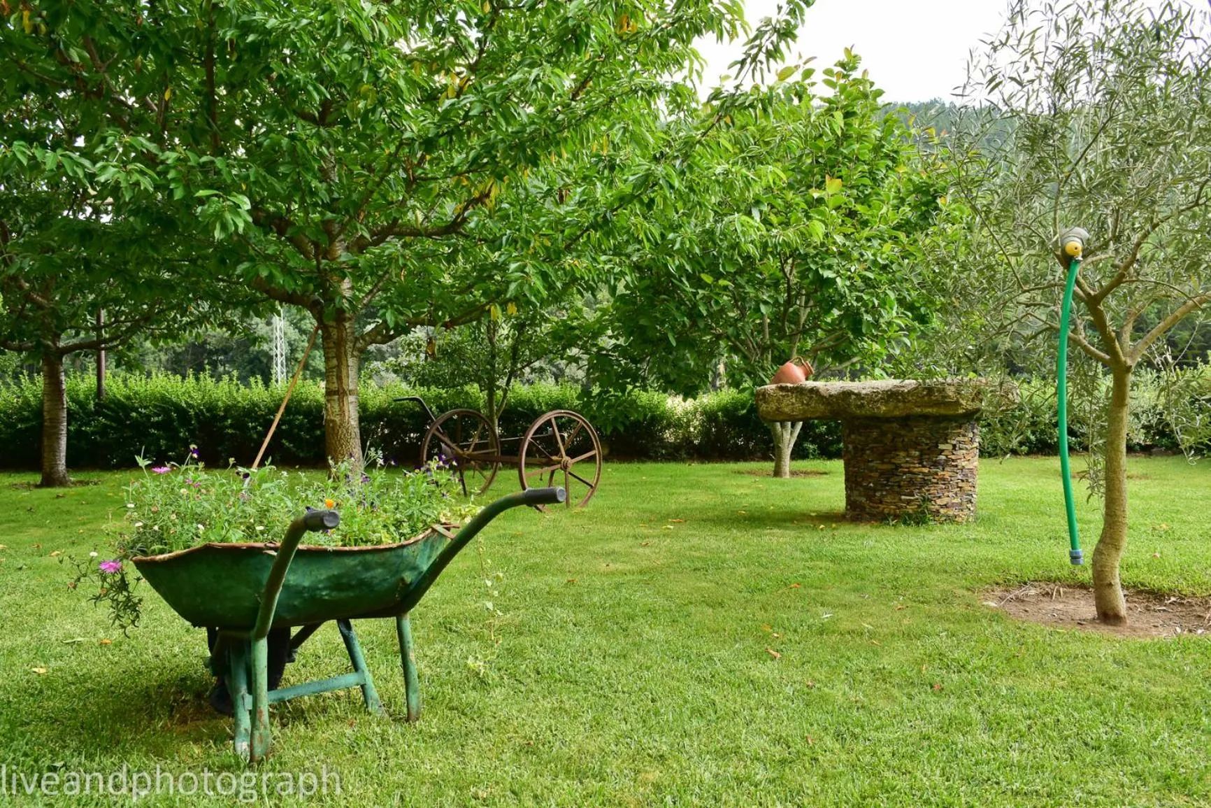 Garden view in Casa Lagar Da Alagoa