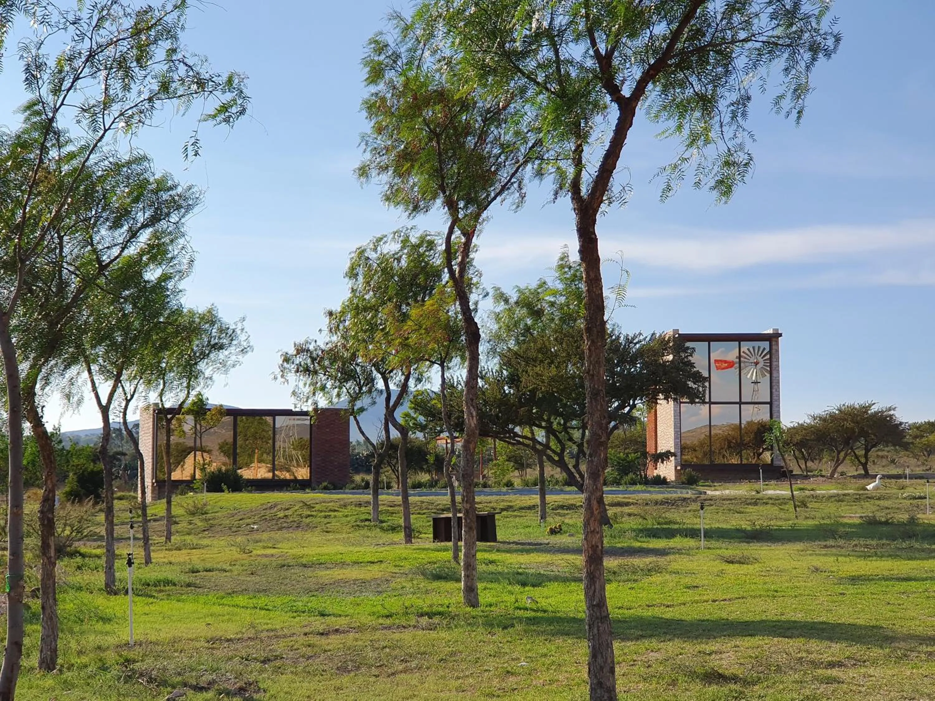 Natural landscape in Mineral del Cielo