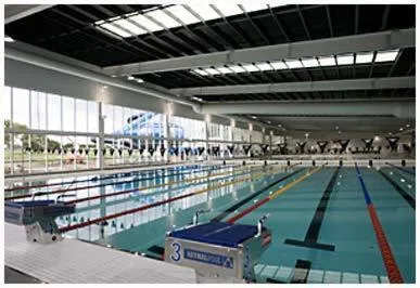 Sports in Golden Palms Motel