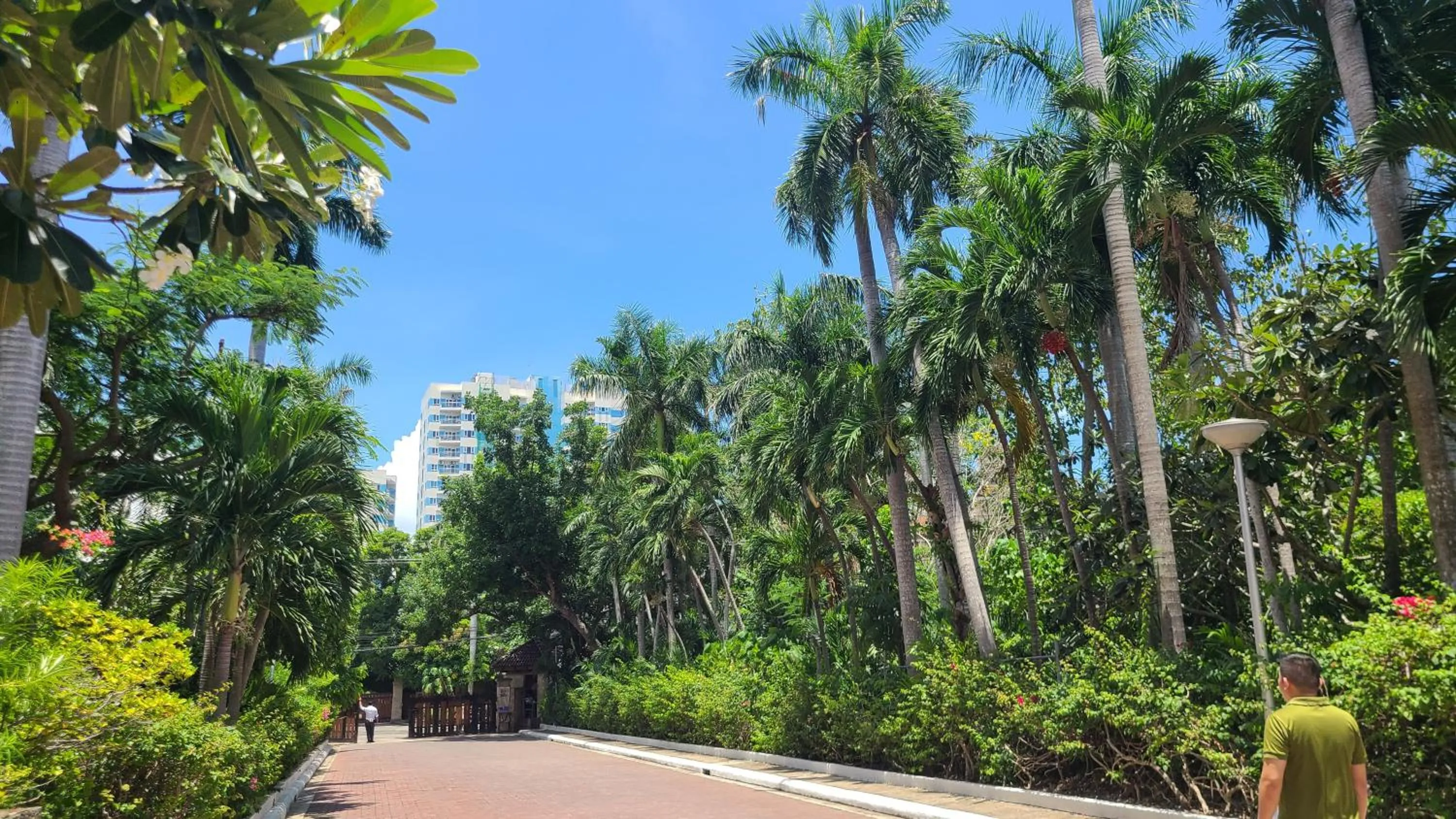 Beach in Coralpoint Gardens Suites & Residences