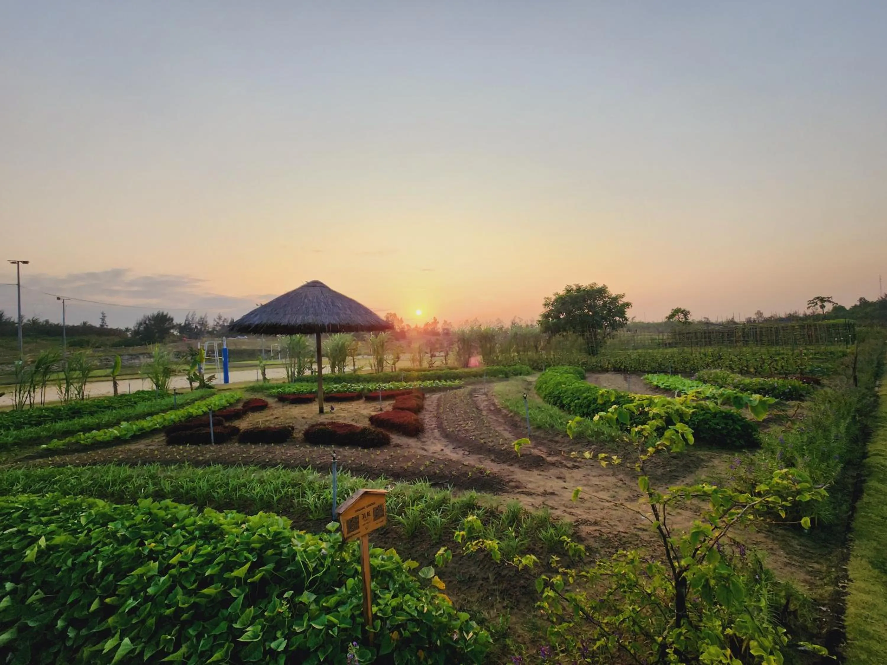 Garden in TUI BLUE Nam Hoi An Resort