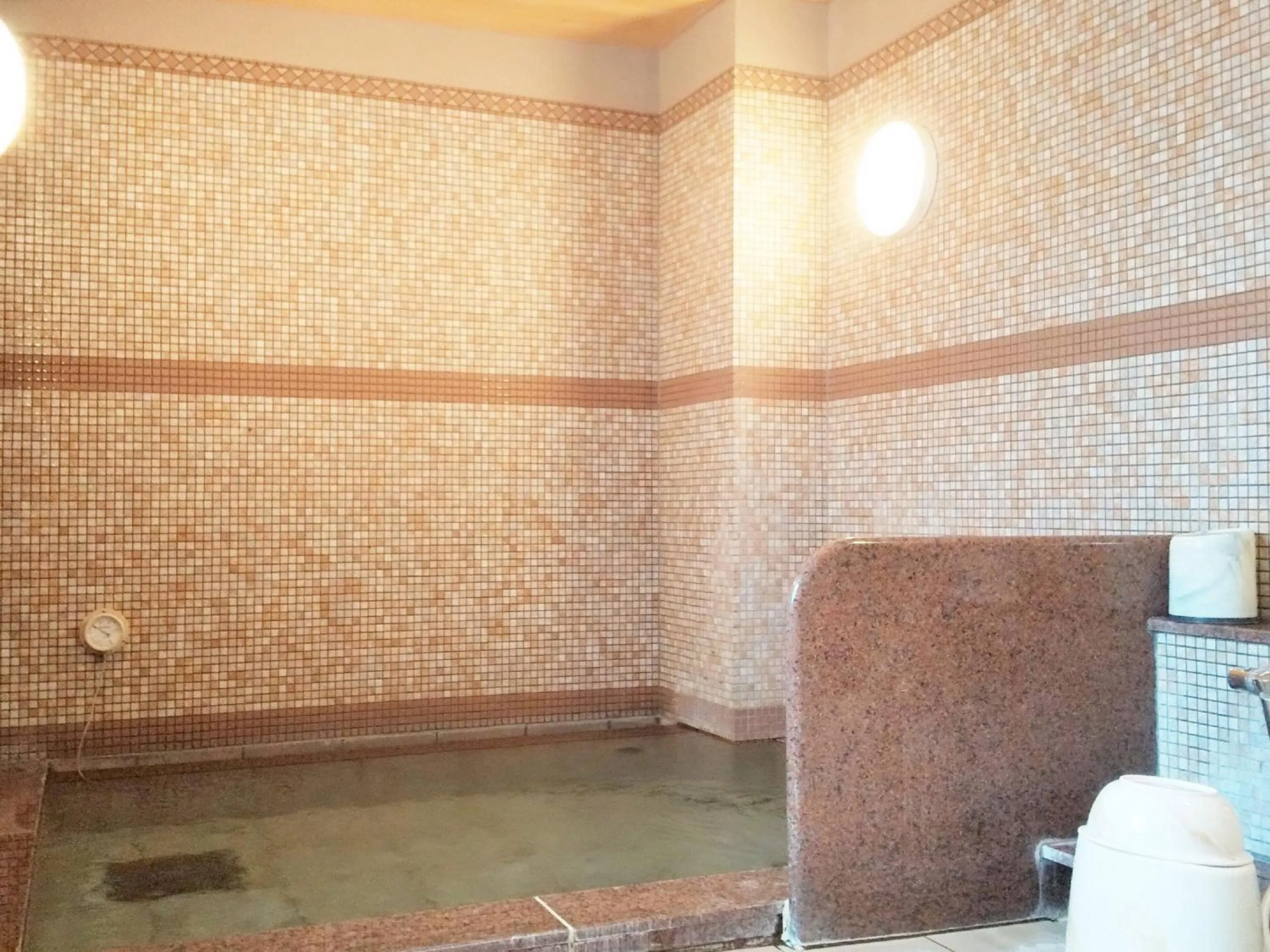 Public Bath in Hotel Route-Inn Tsu Ekiminami -Kokudo23gou-