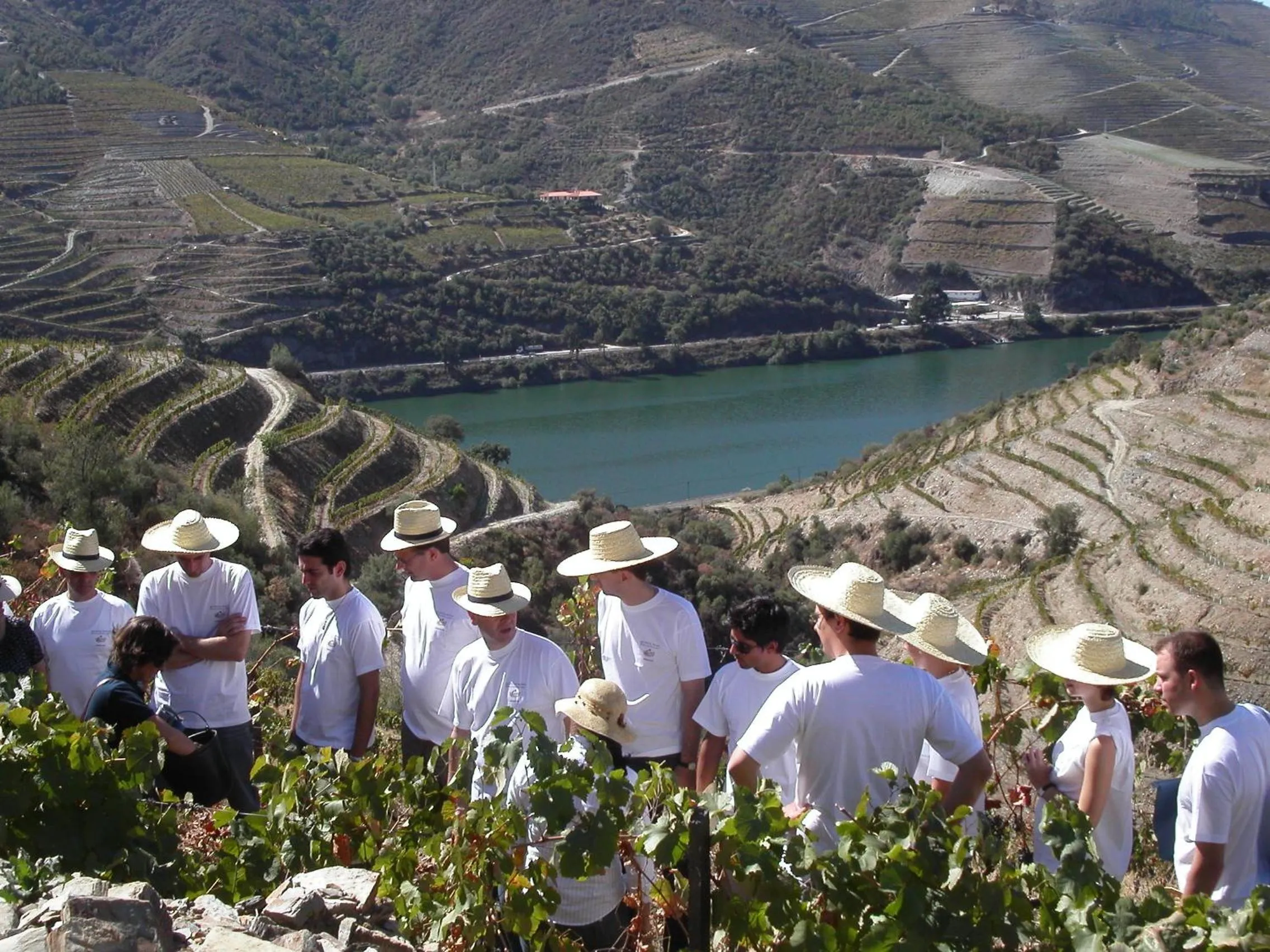 Hiking in Quinta Nova Winery House - Relais & Châteaux