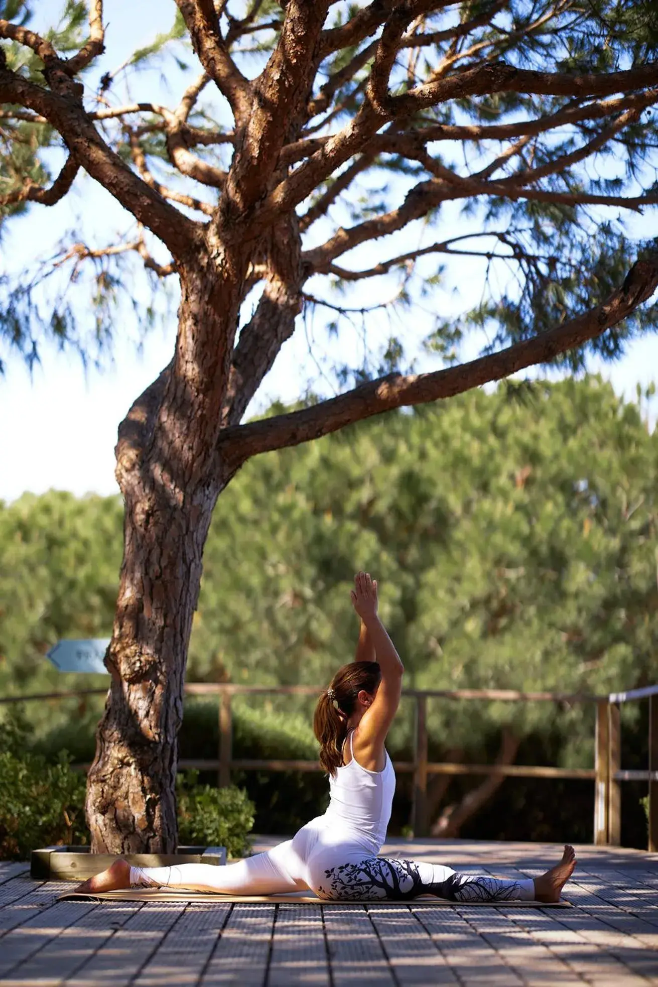 Fitness centre/facilities in Octant Praia Verde Fitness centre/facilities in Octant Praia Verde